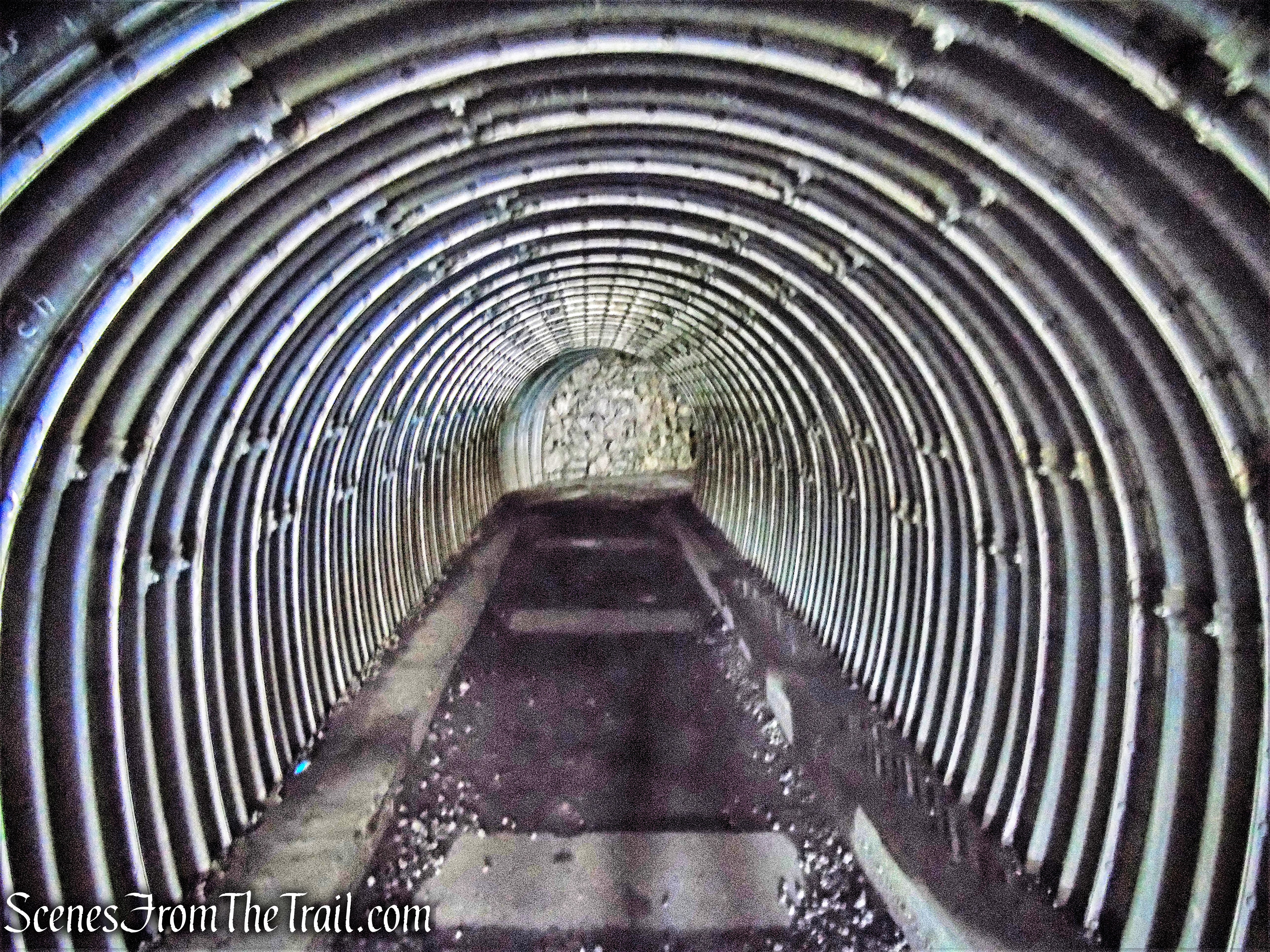 4. Belmont Beach to Ledge Rd.