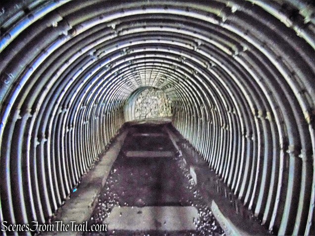 4. Belmont Beach to Ledge Rd.