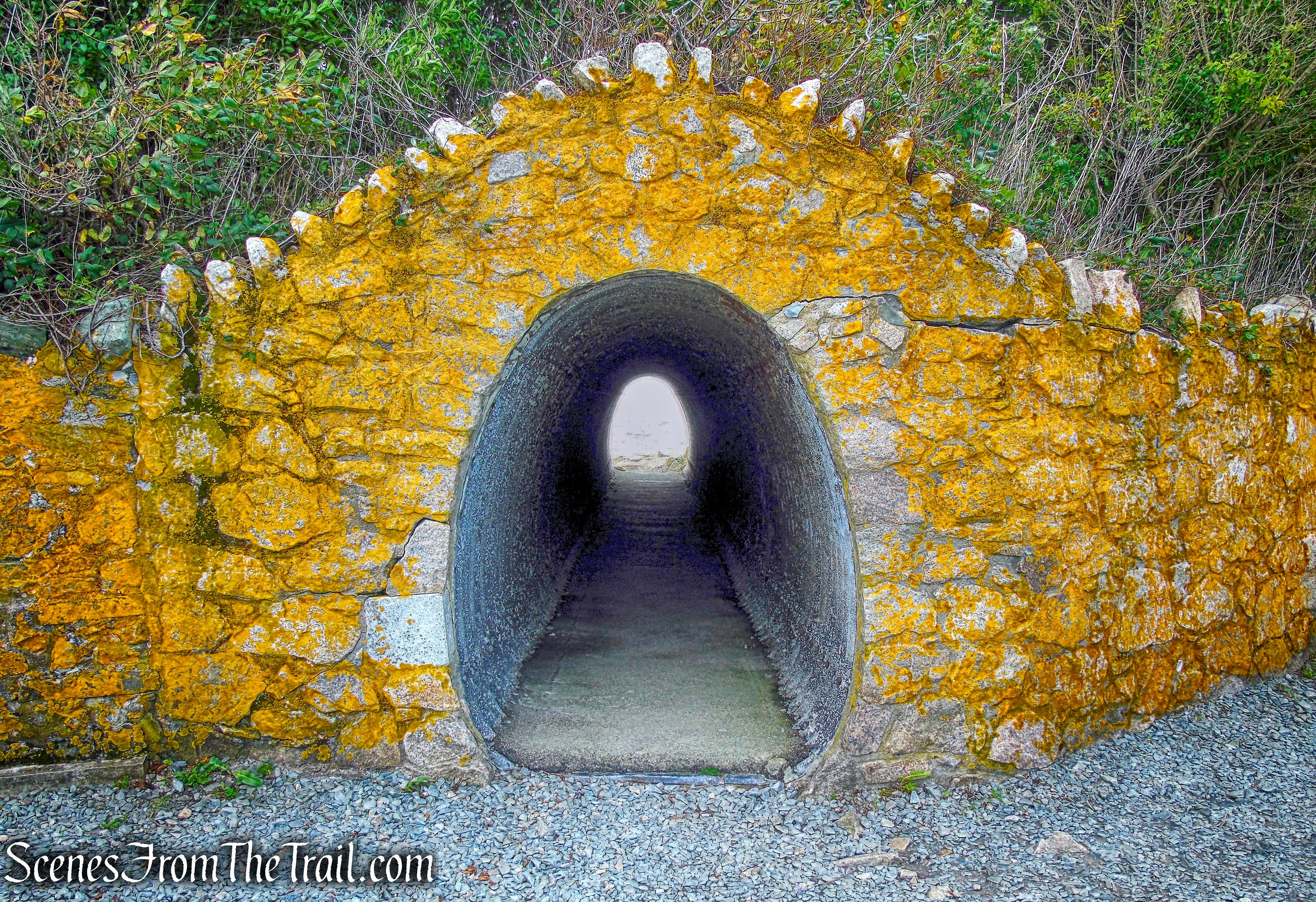 4. Belmont Beach to Ledge Rd.