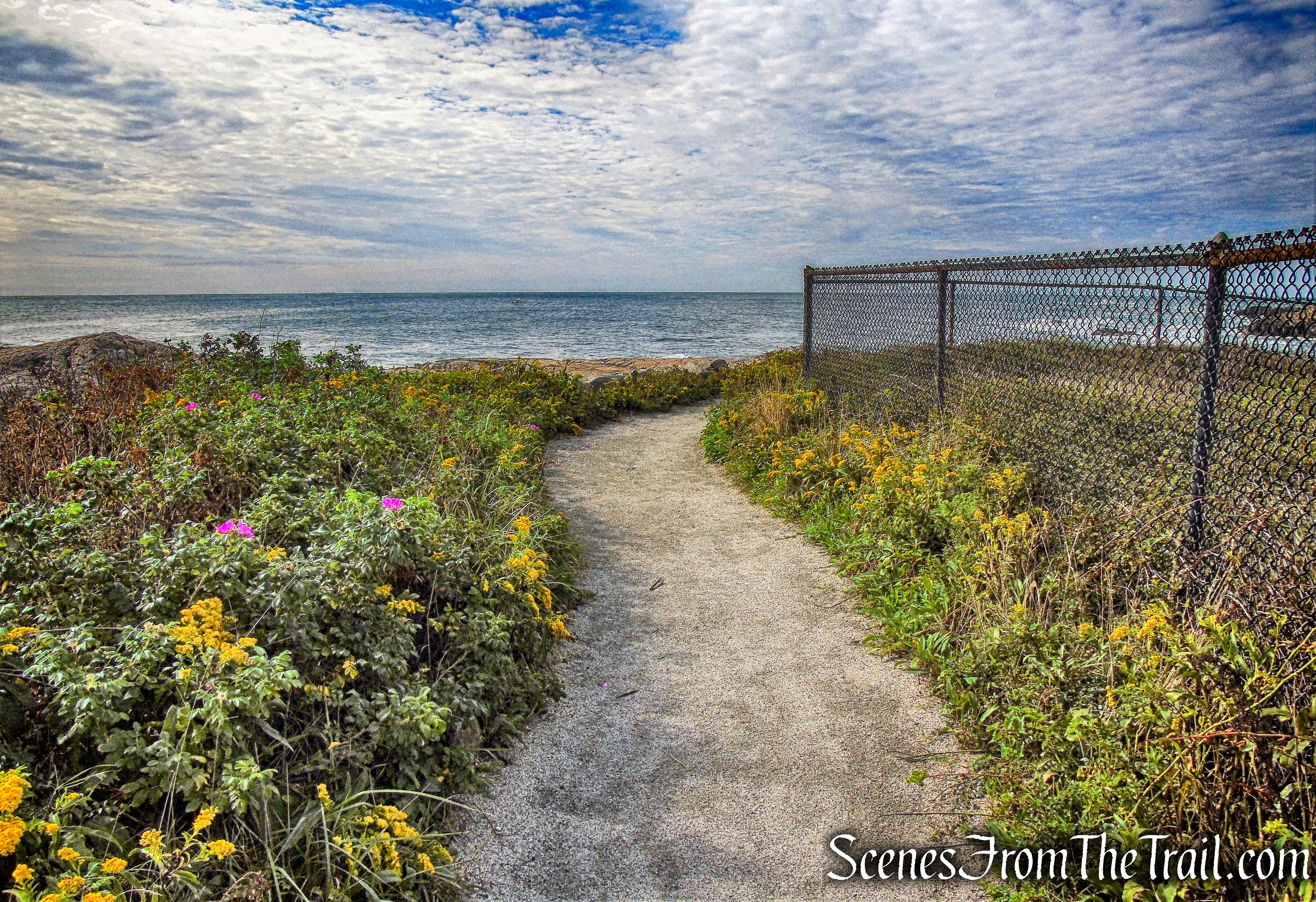 4. Belmont Beach to Ledge Rd.