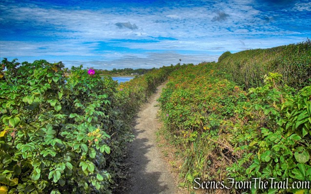 5. Ledge Road to Bellevue Ave.