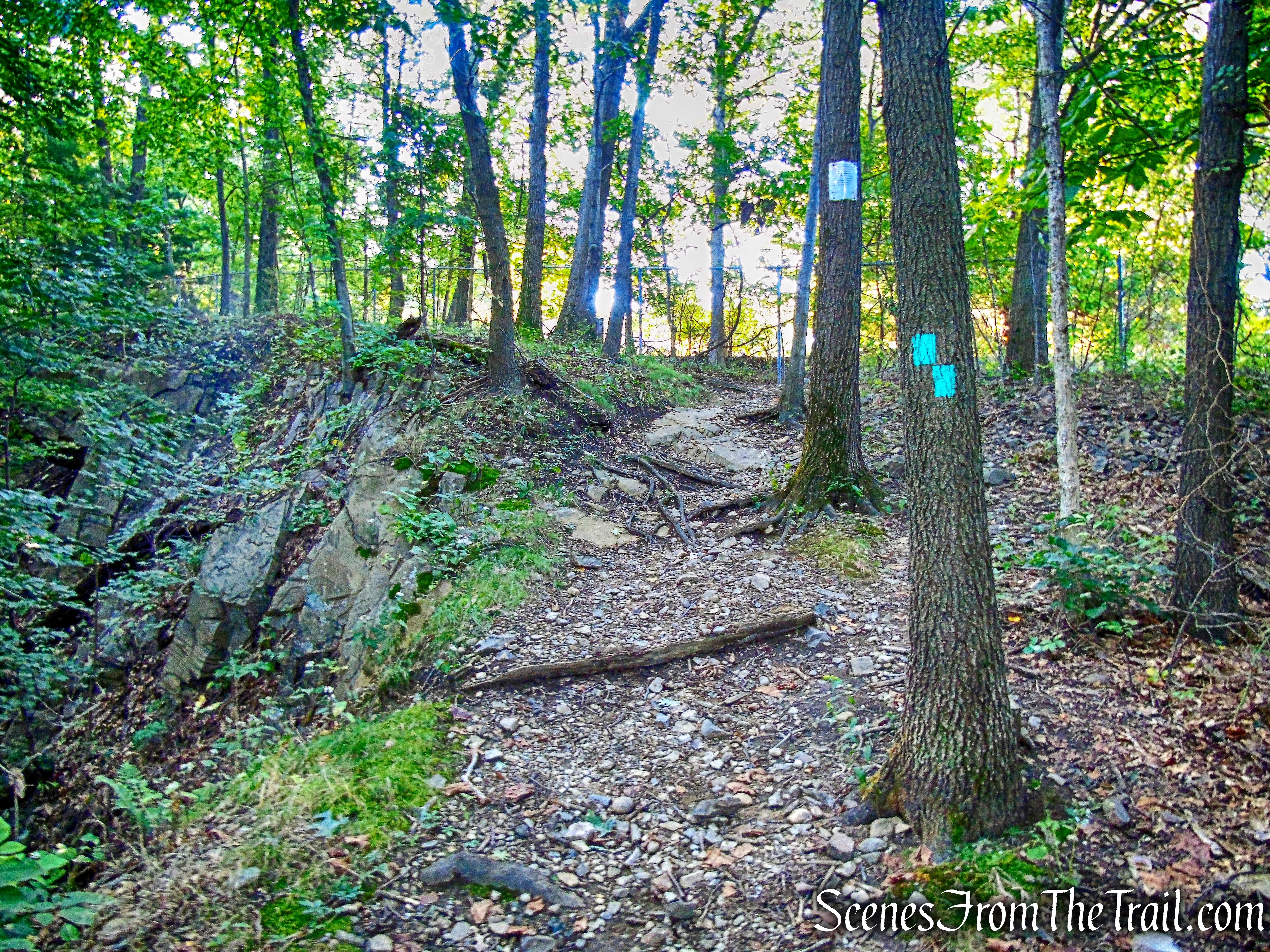 The Long Path