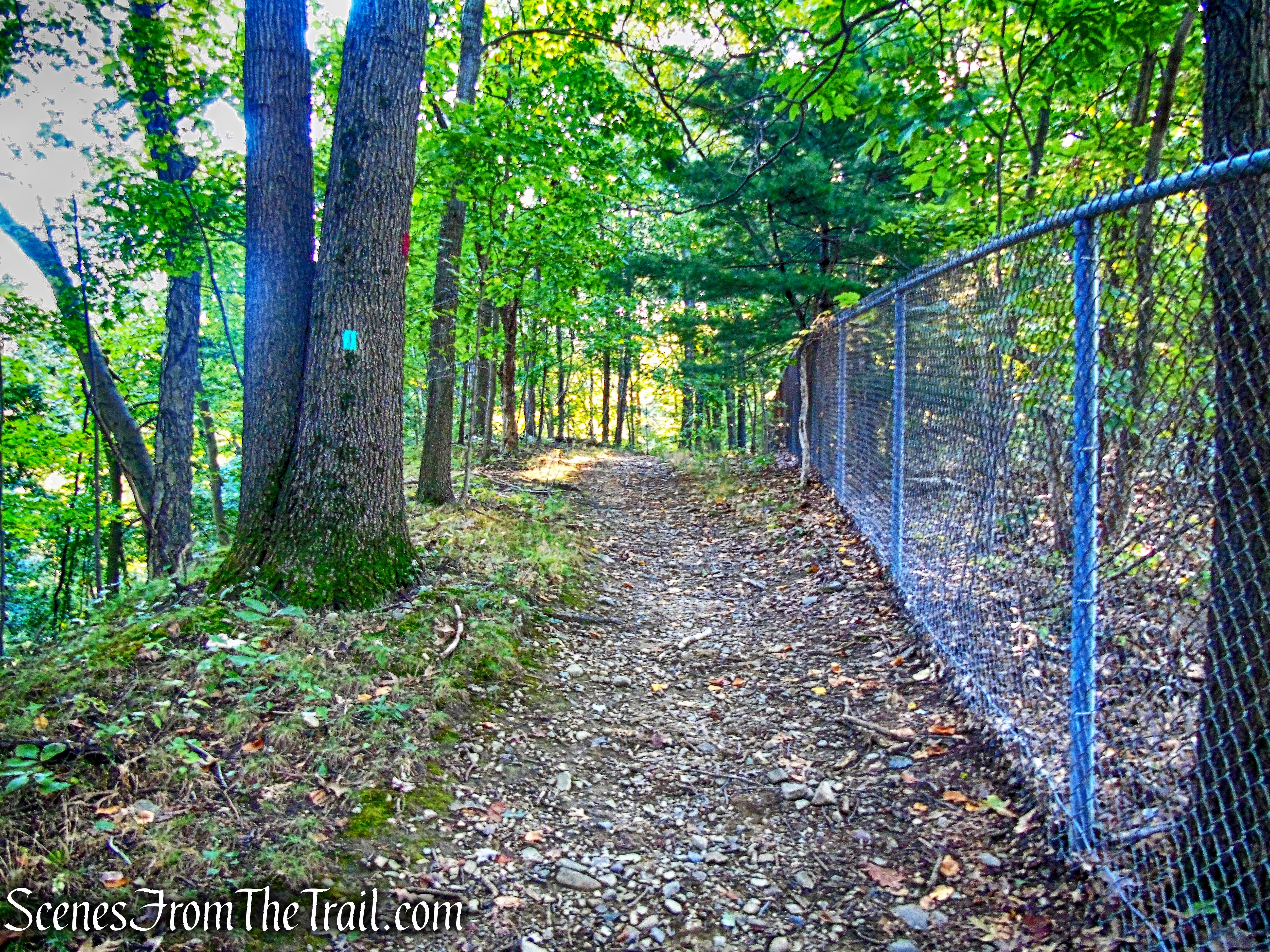 The Long Path