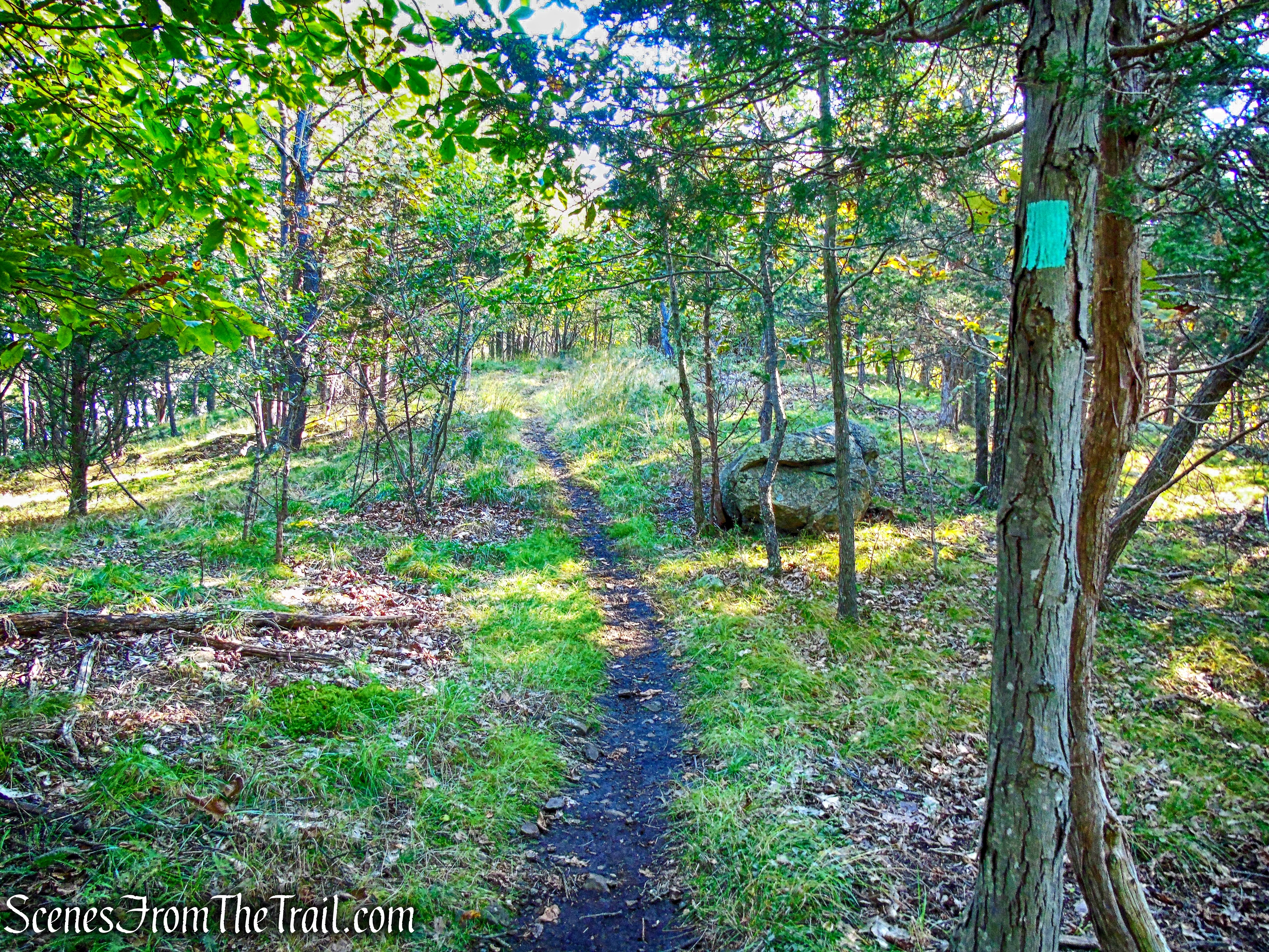 Long Path - South Mountain County Park