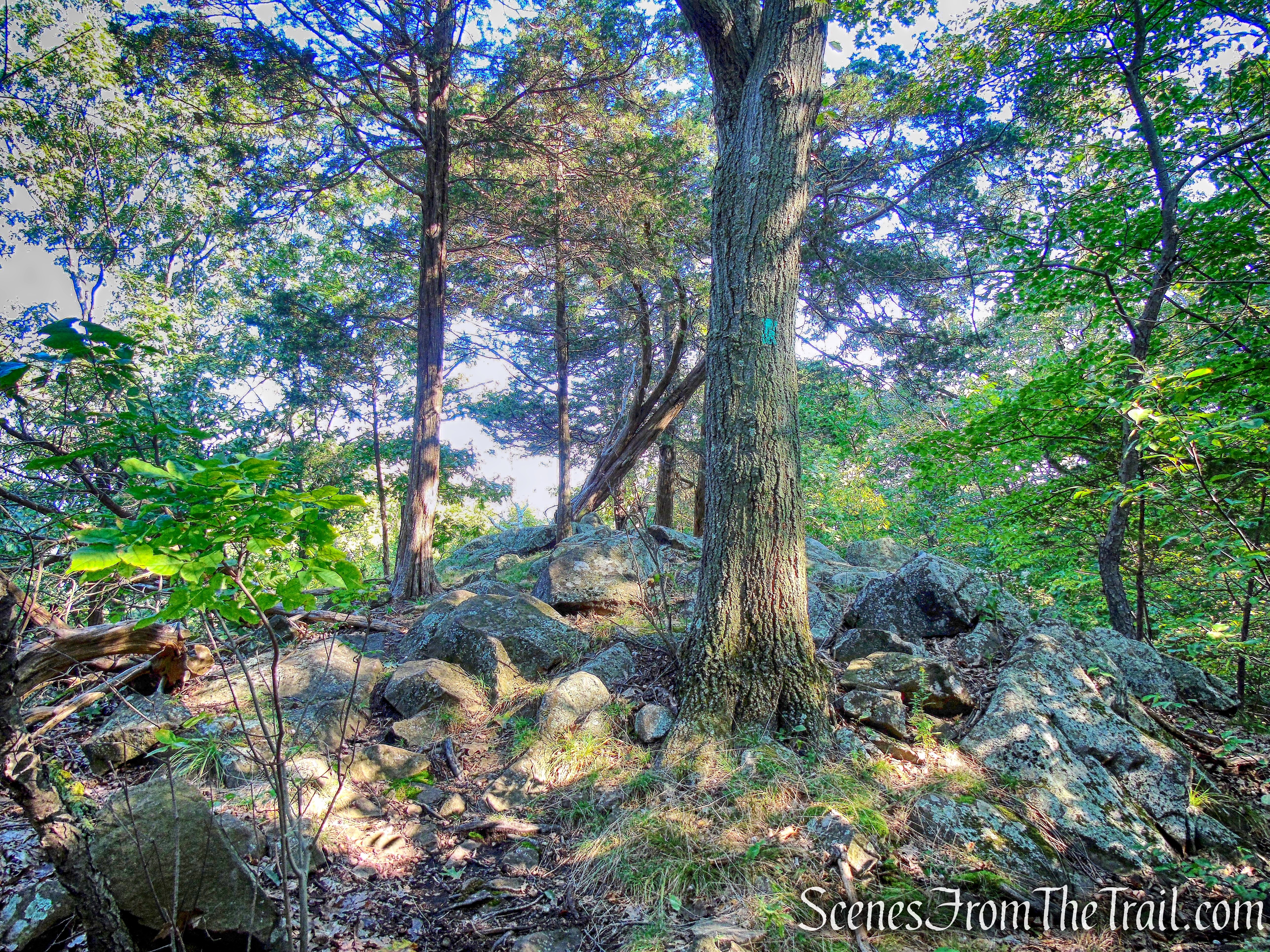 Long Path - South Mountain County Park
