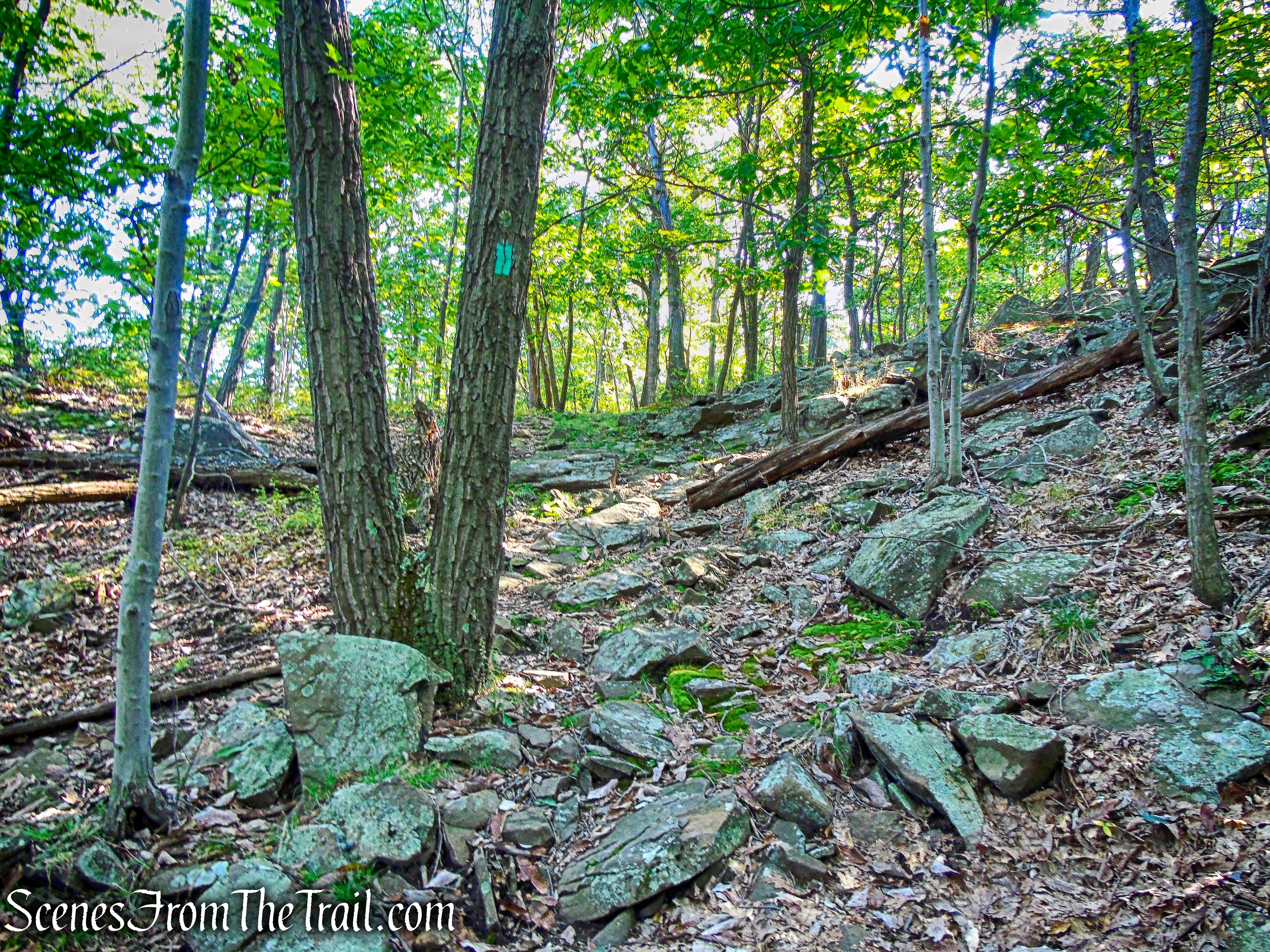 Long Path - South Mountain County Park