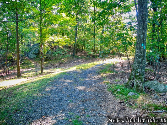 Long Path - South Mountain County Park