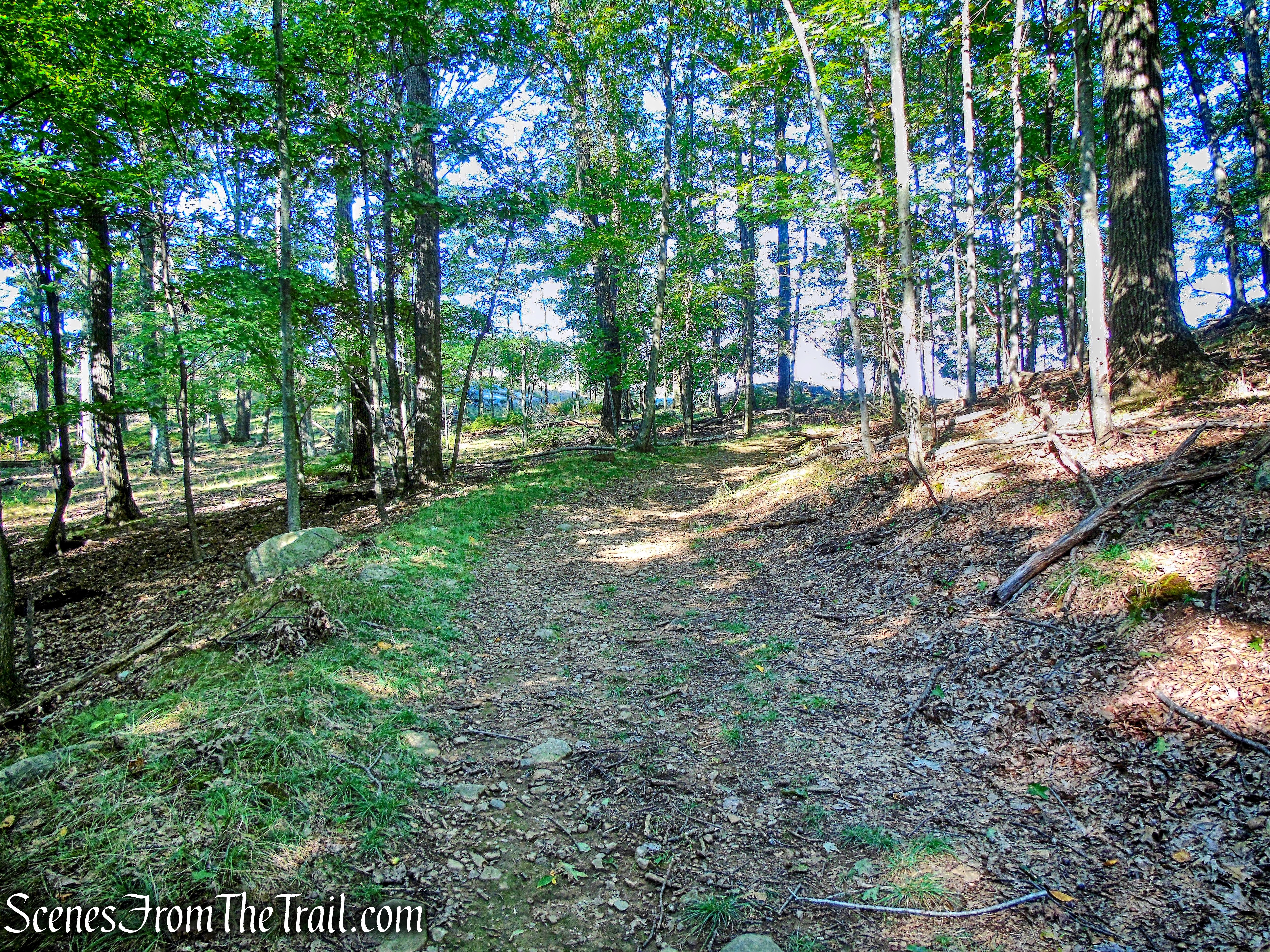 woods road to power lines - High Tor State Park