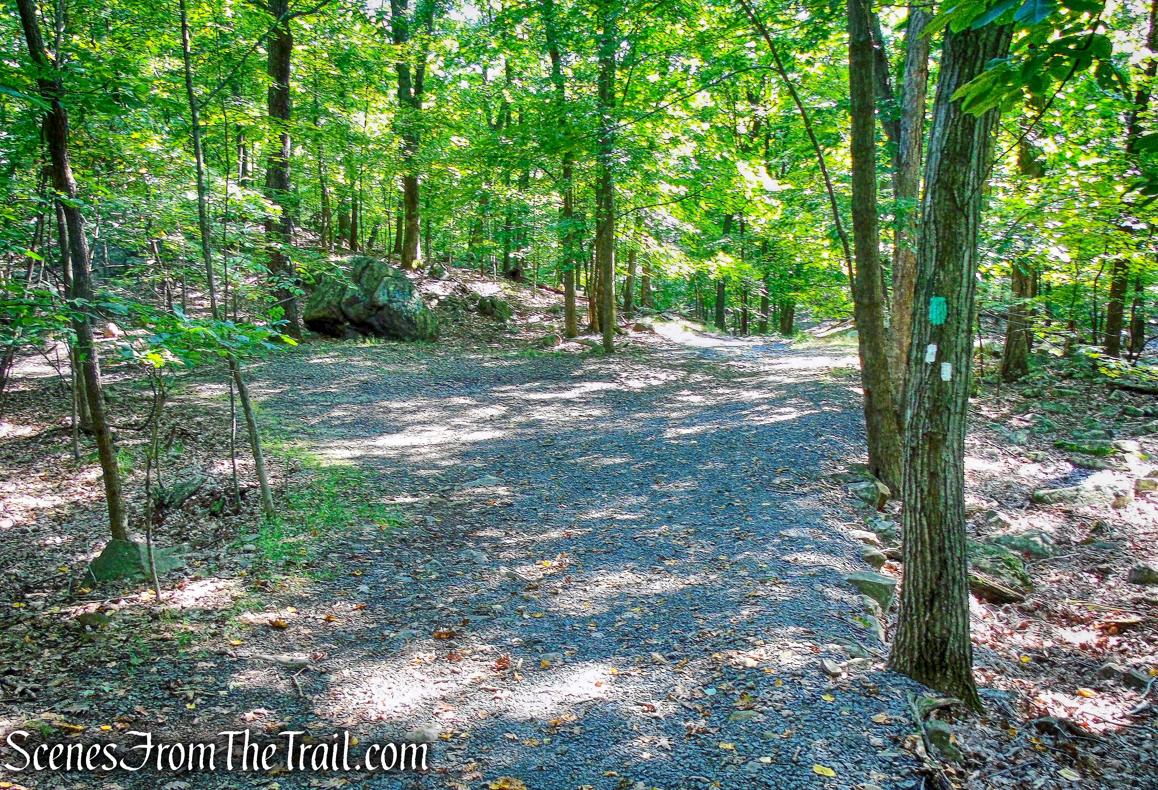 left on the white-blazed Little Tor Trail