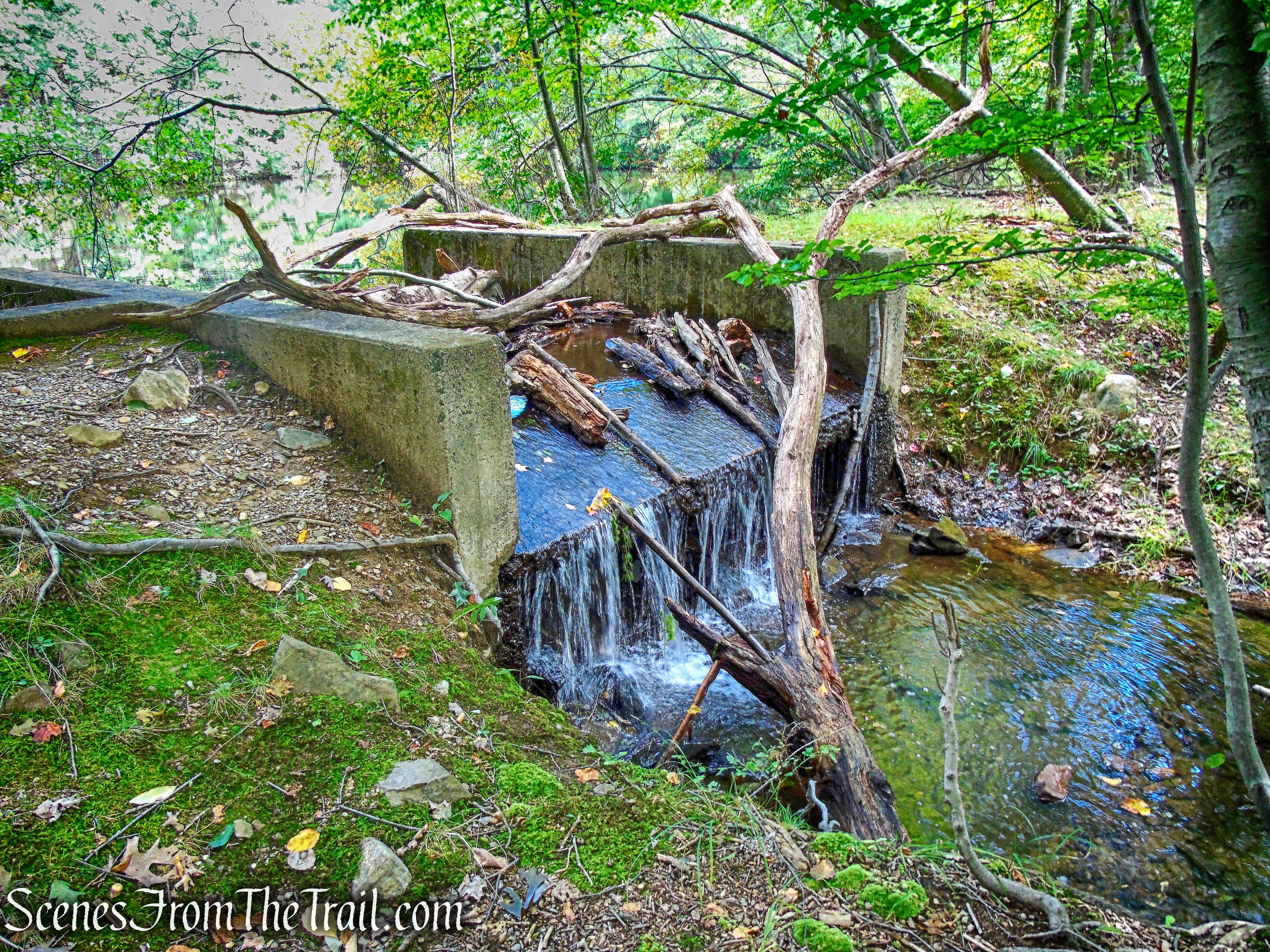 Tweed Pond outlet