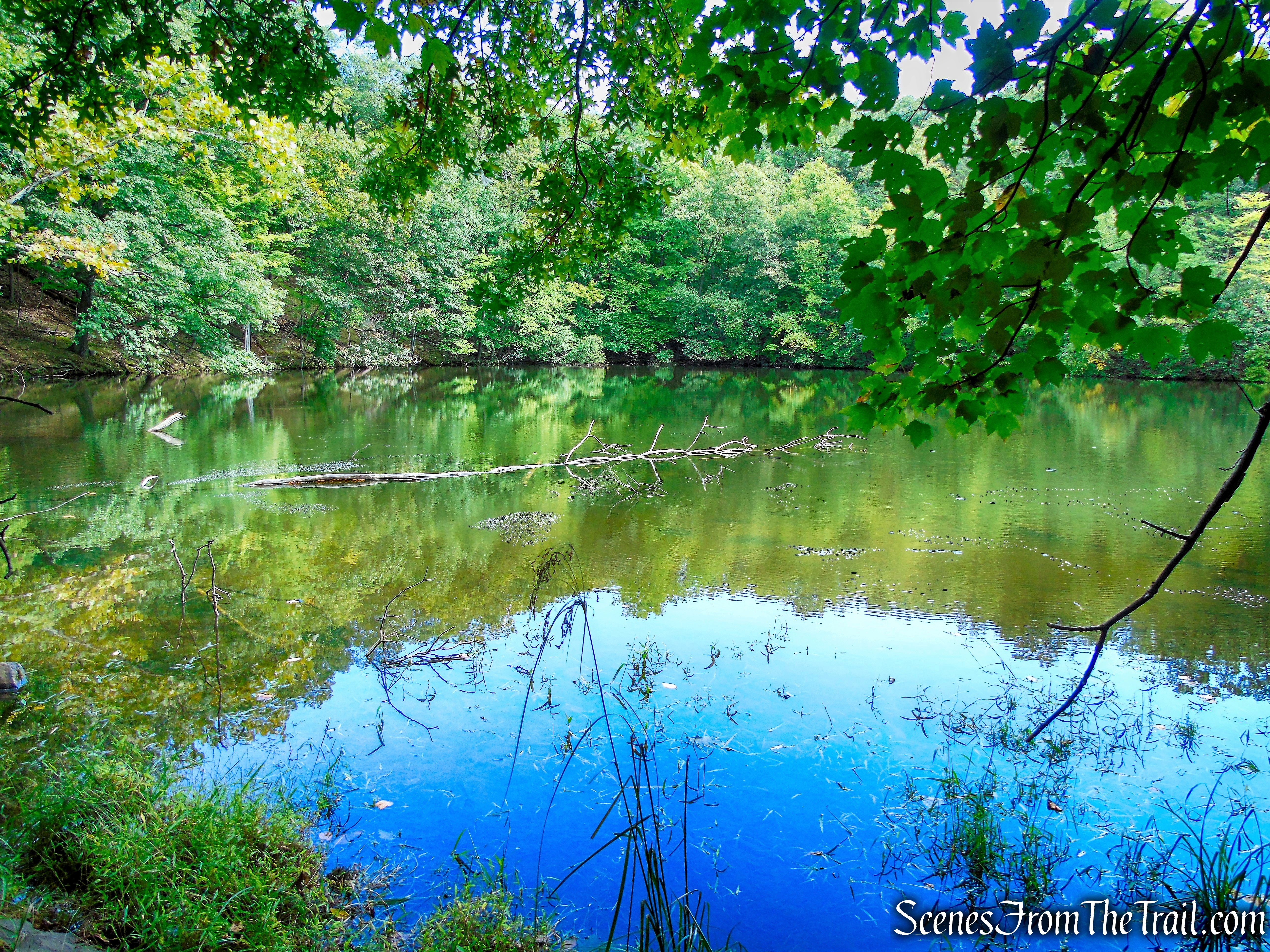 Tweed Pond