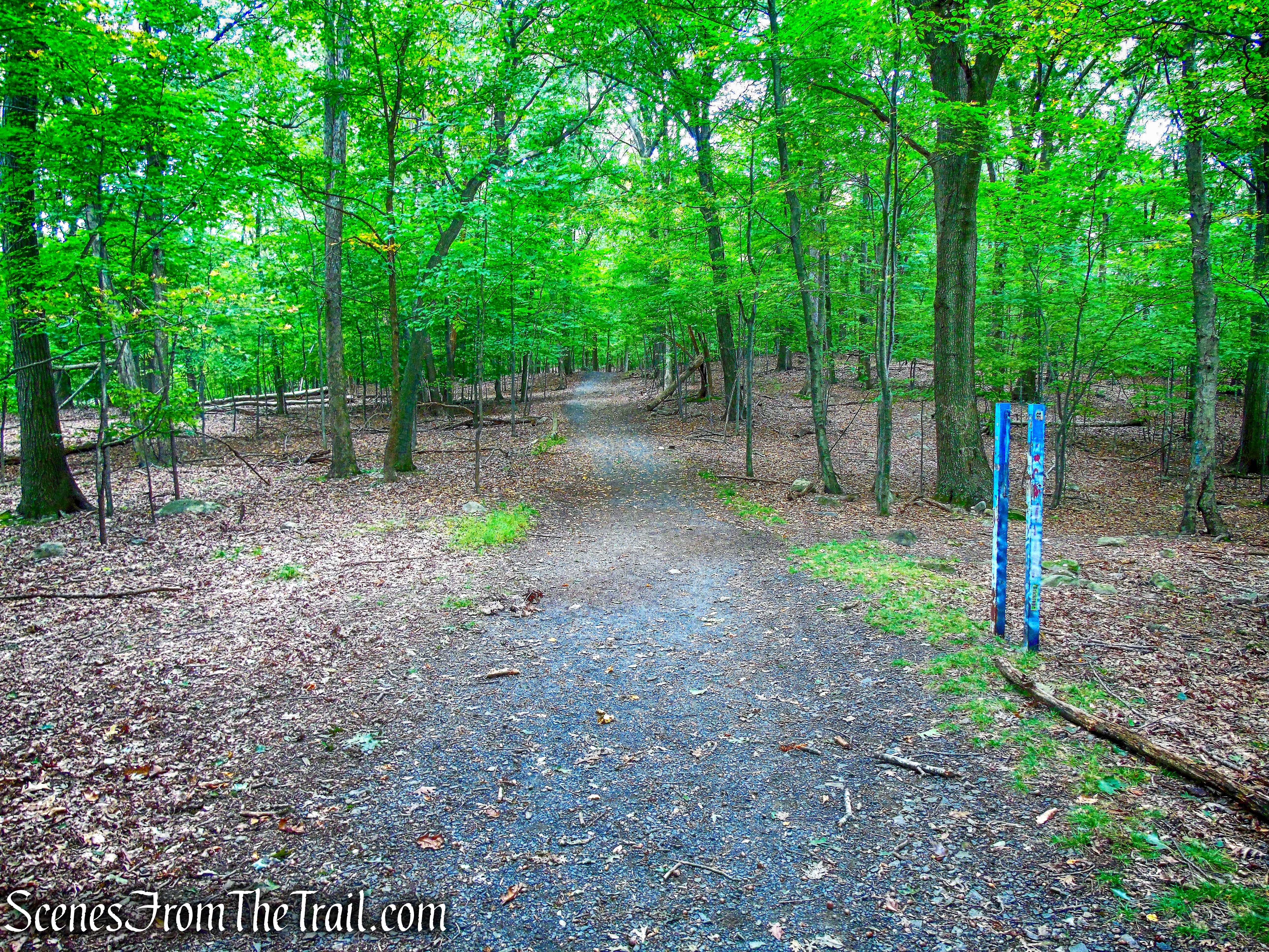 Long Path - High Tor State Park