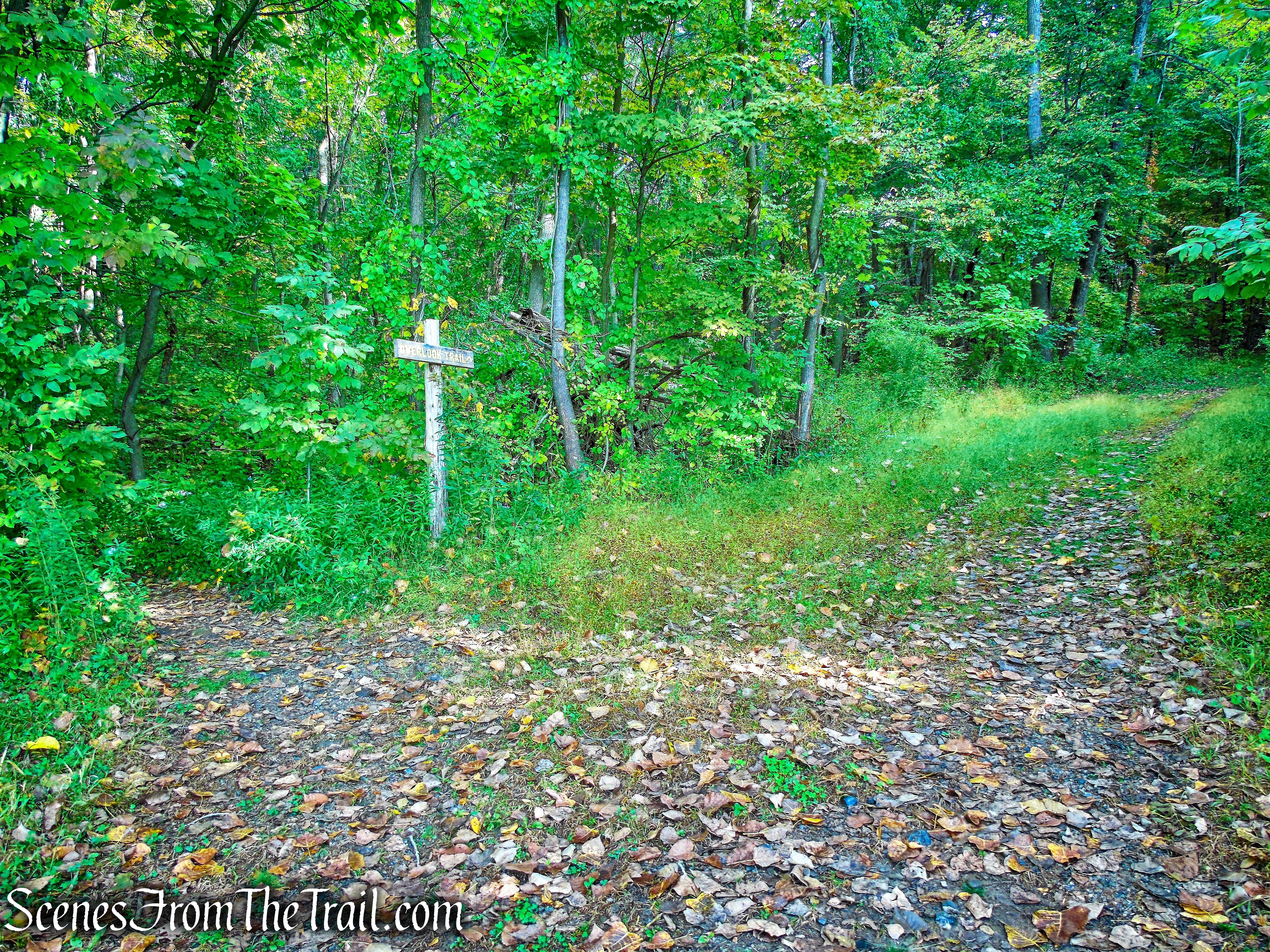 turn left on Overlook Trail