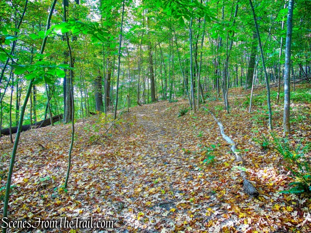 Joppenbergh Mountain Loop Trail