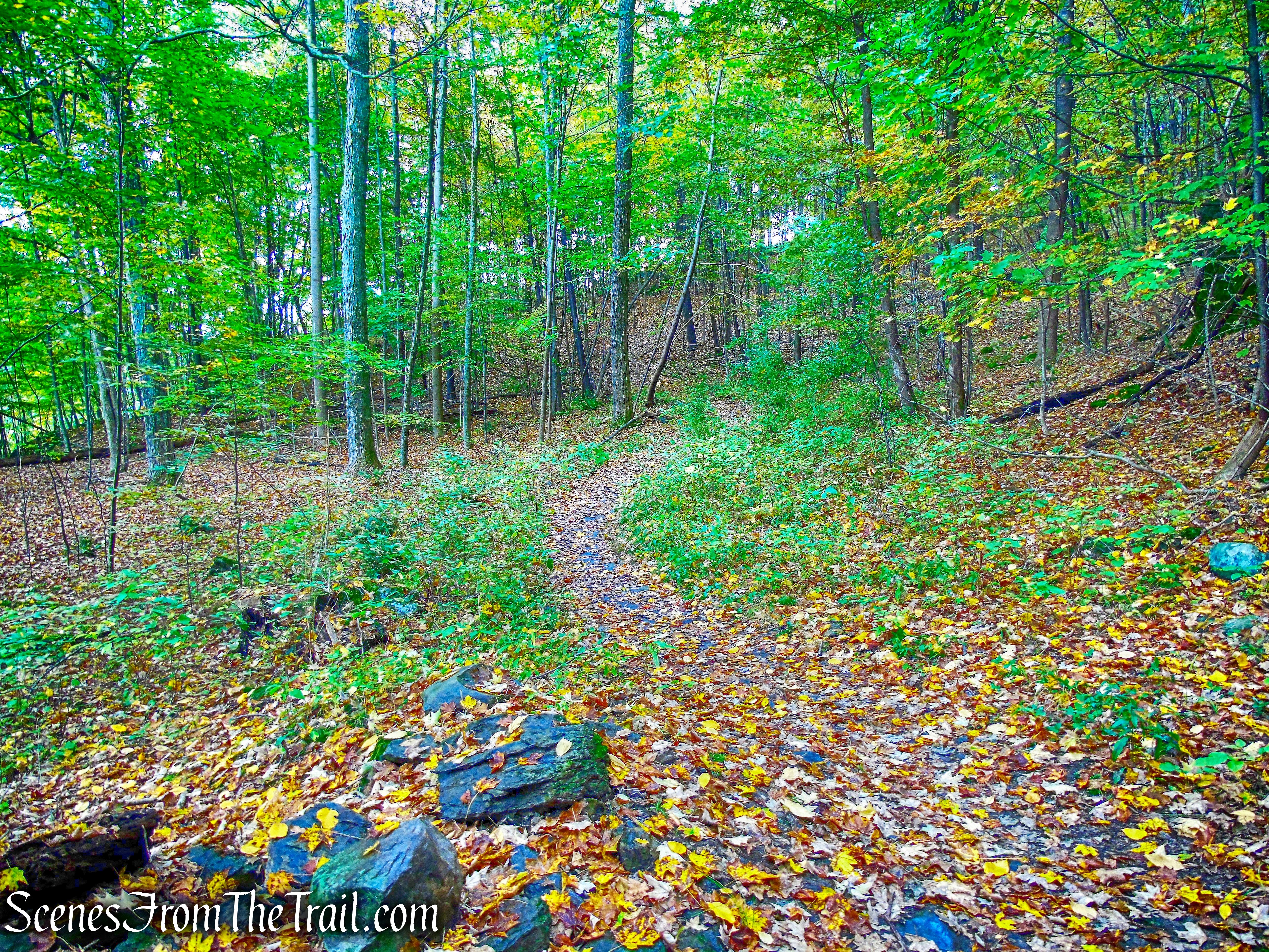Joppenbergh Mountain Loop Trail