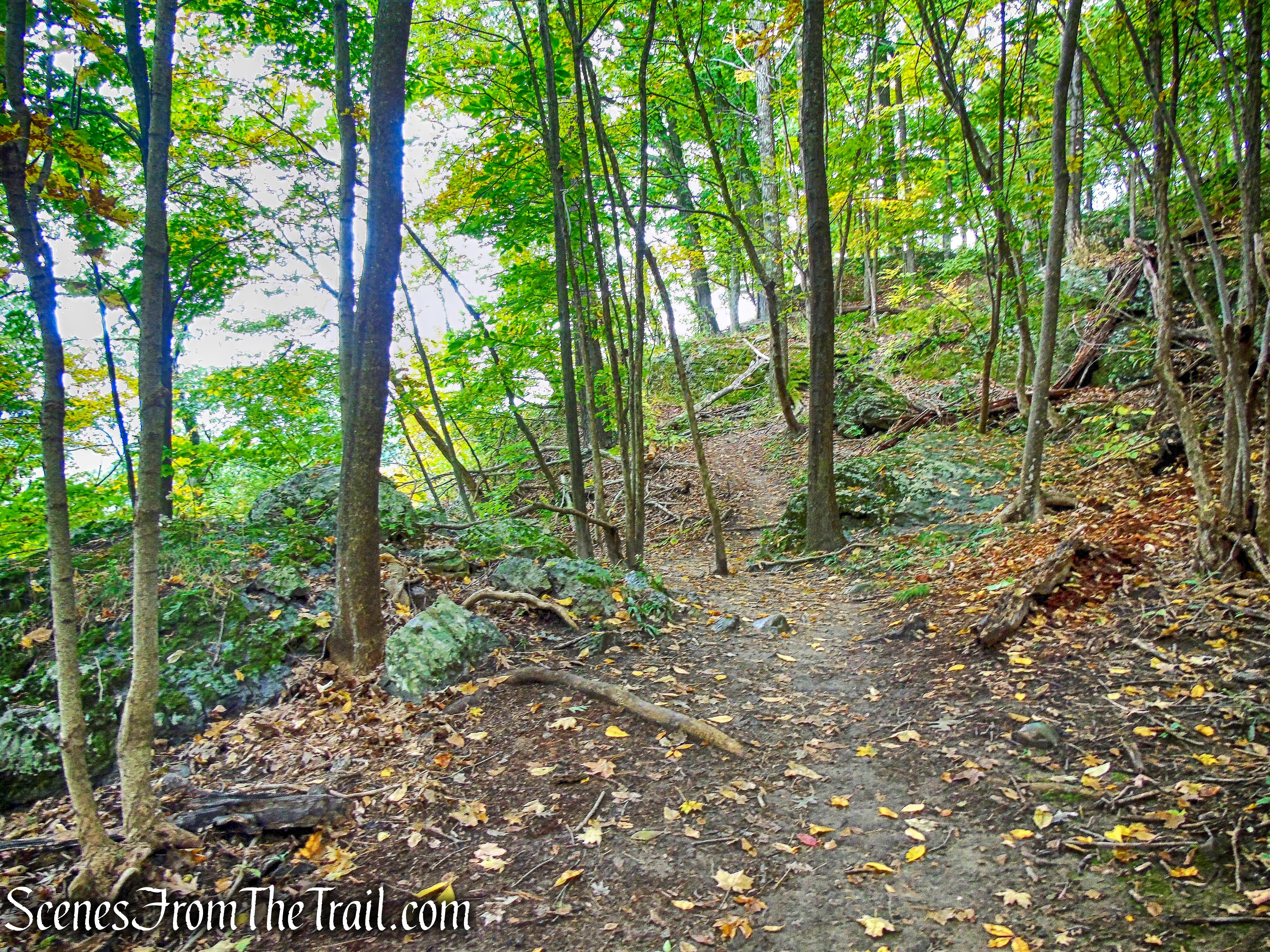 Joppenbergh Mountain Loop Trail