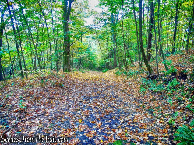 Joppenbergh Mountain Loop Trail