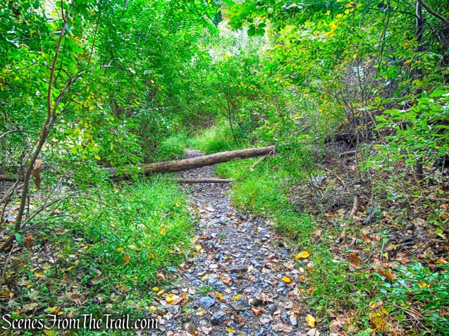 Joppenbergh Mountain Loop Trail