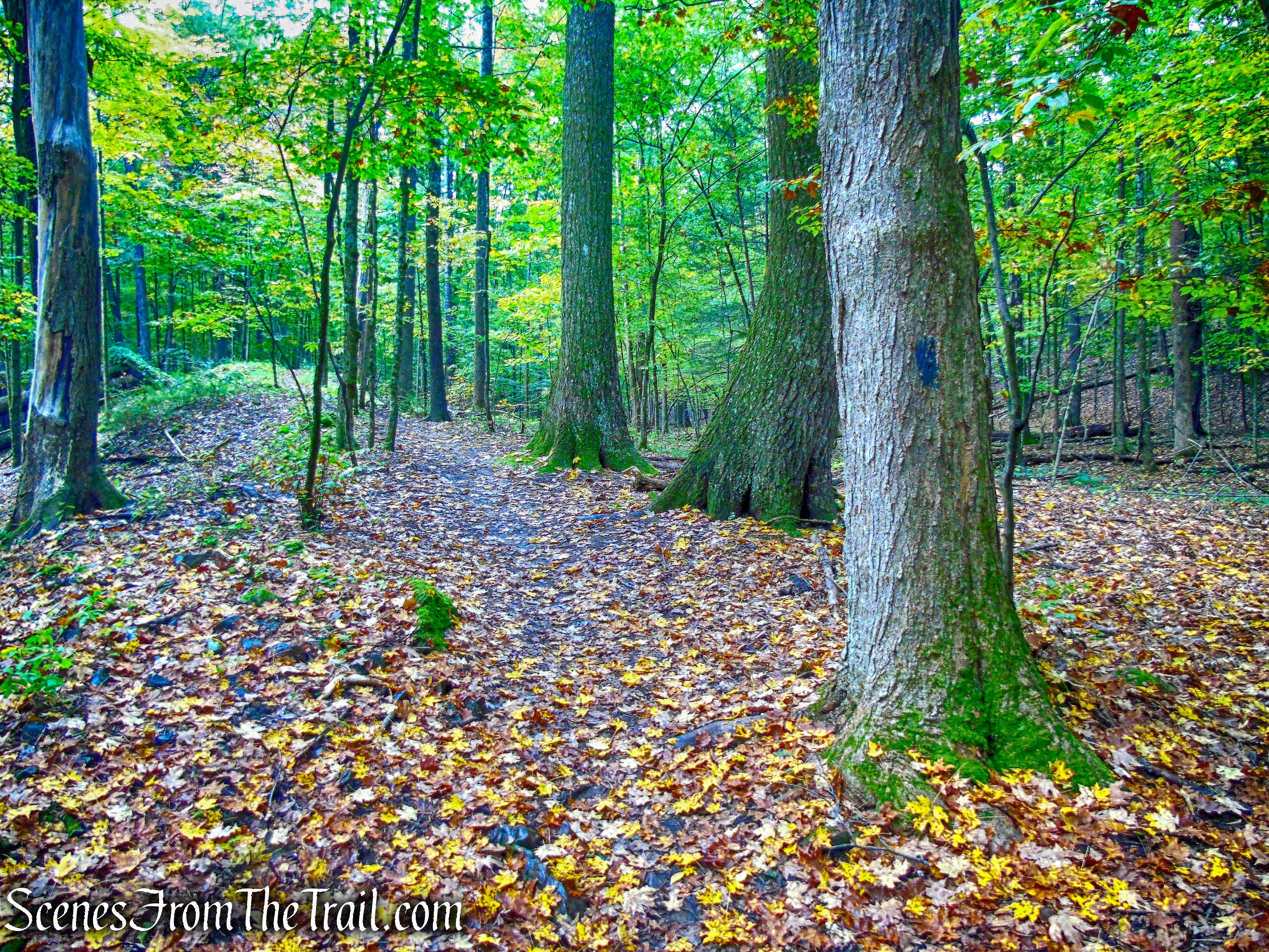 Lime Kiln Trail - Giant’s Ledges Pocket Park