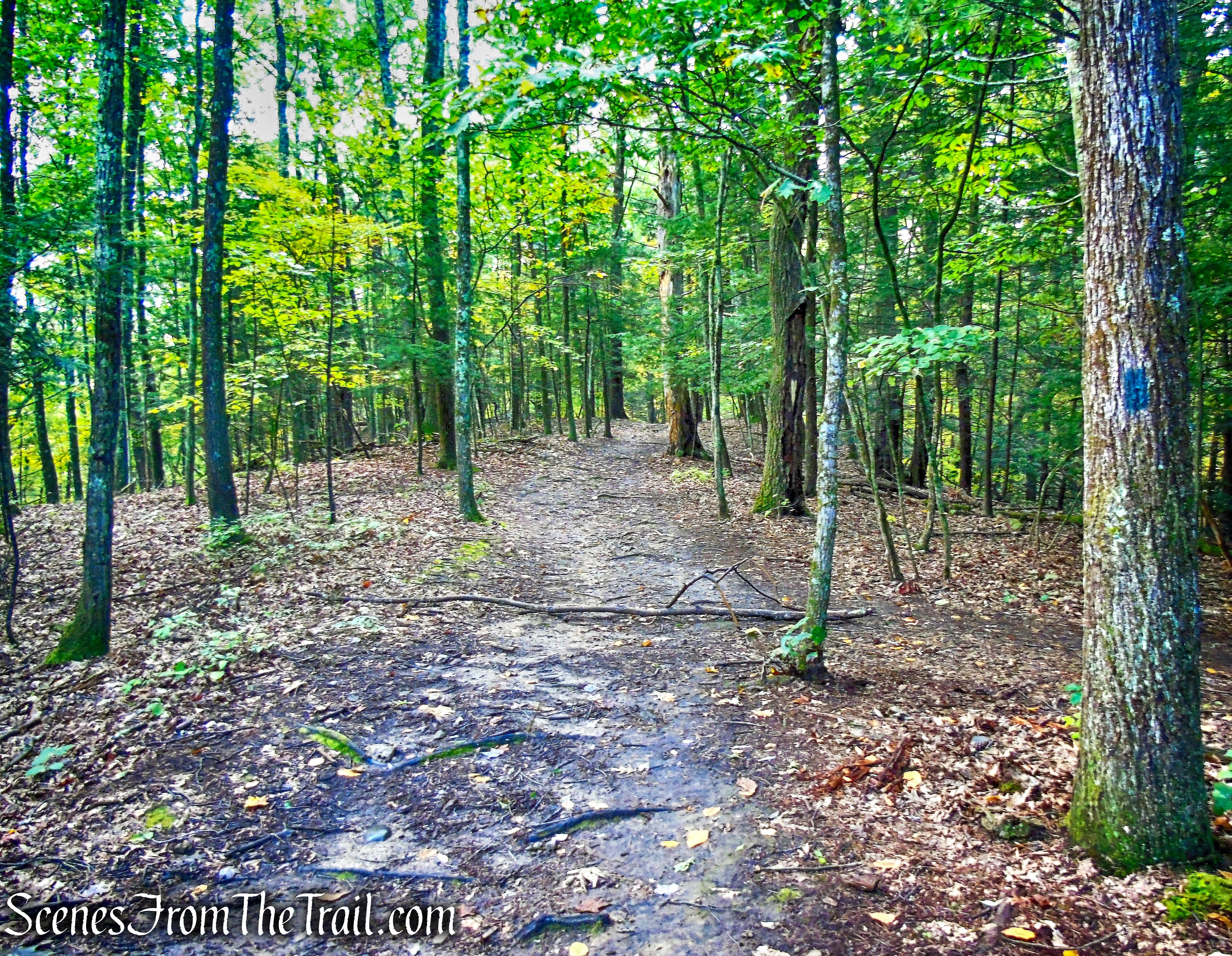 Lime Kiln Trail - Giant’s Ledges Pocket Park