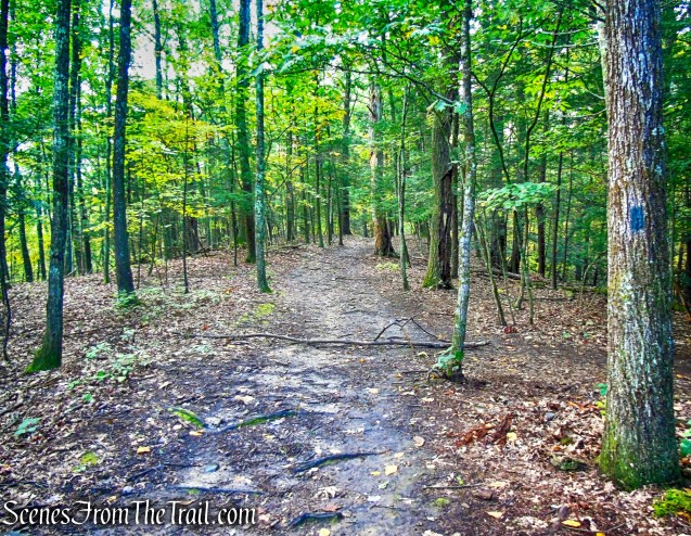 Lime Kiln Trail - Giant’s Ledges Pocket Park