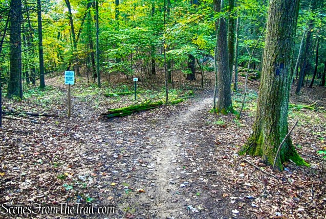 Lime Kiln Trail - Giant’s Ledges Pocket Park