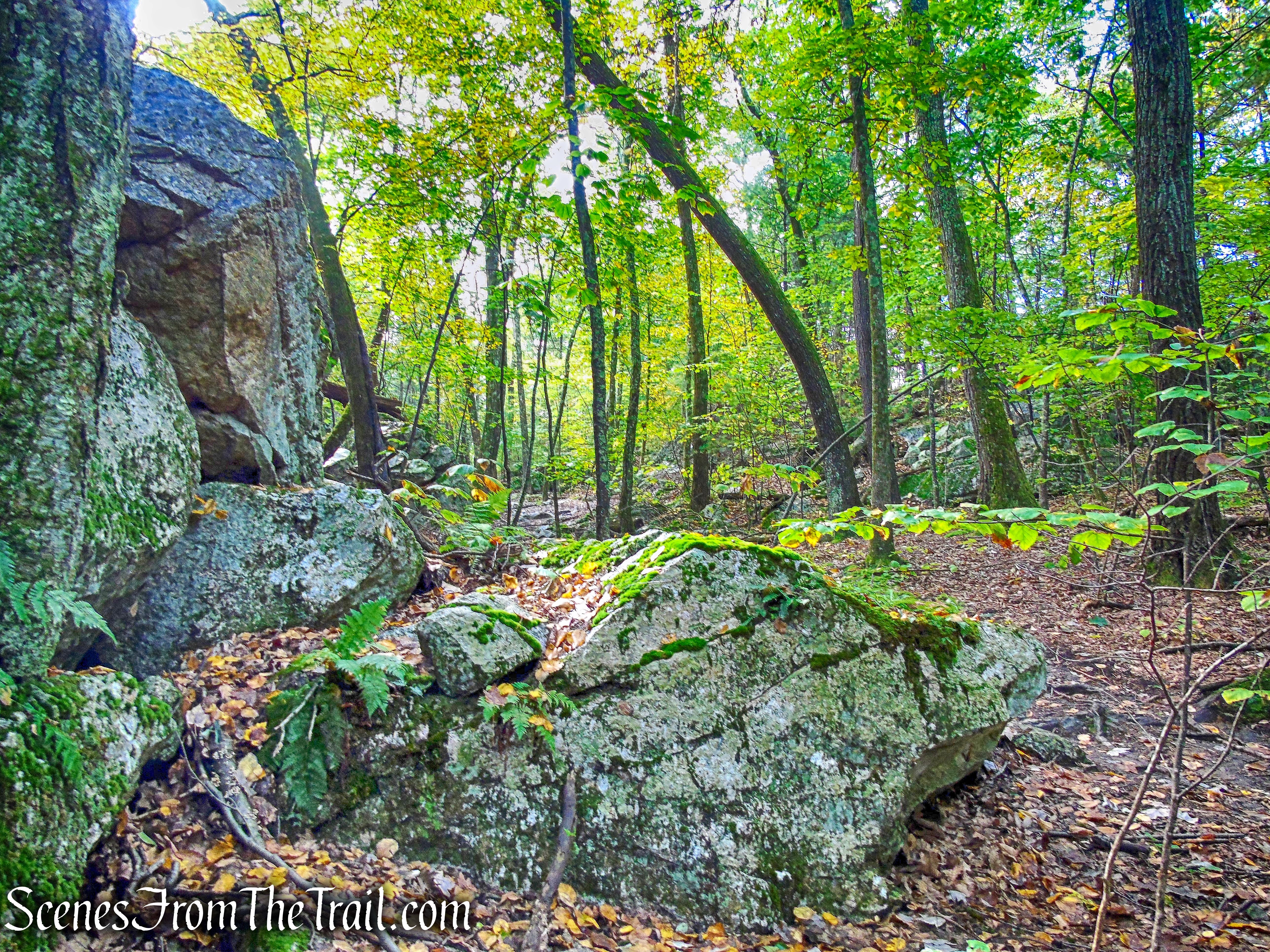 Lime Kiln Trail - Giant’s Ledges Pocket Park