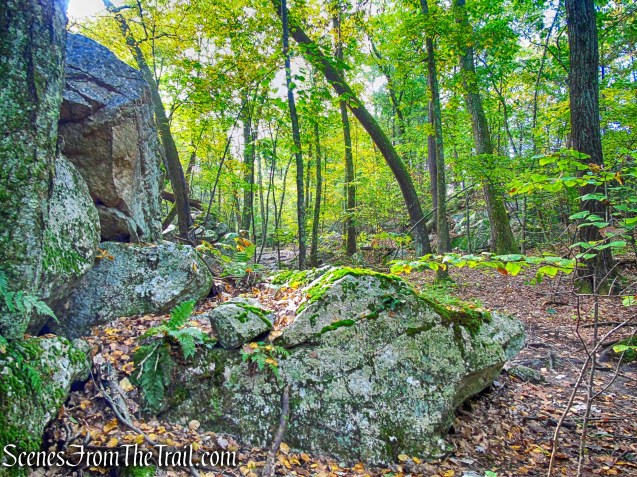 Lime Kiln Trail - Giant’s Ledges Pocket Park