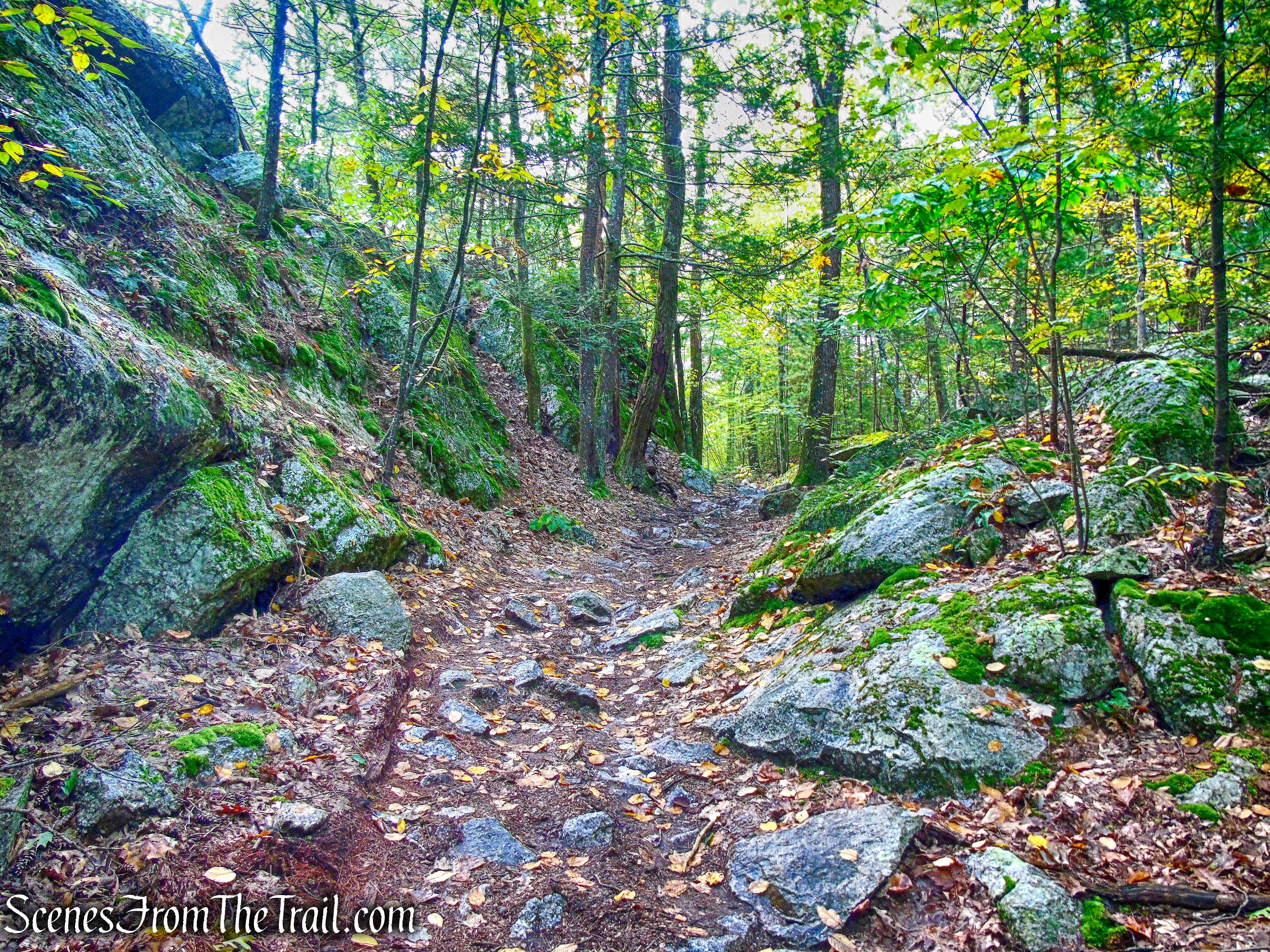 Lime Kiln Trail - Giant’s Ledges Pocket Park