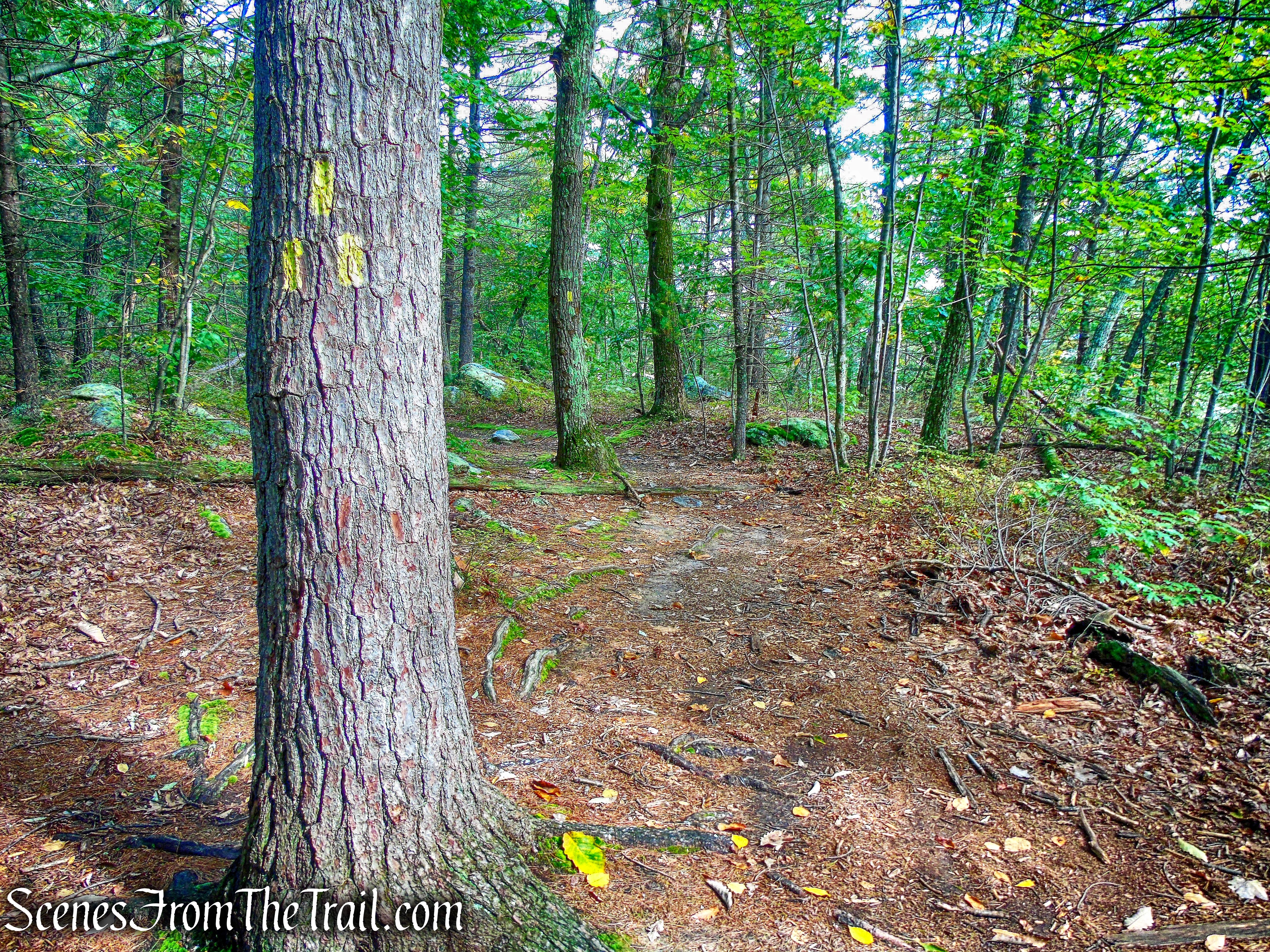 Yellow Trail - Giant’s Ledges Pocket Park