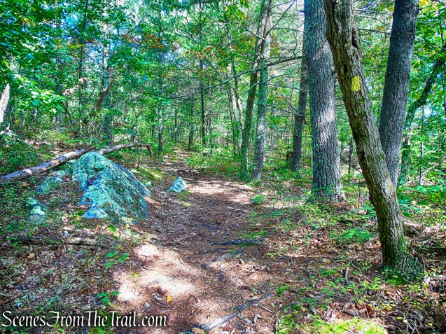 Yellow Trail - Giant’s Ledges Pocket Park