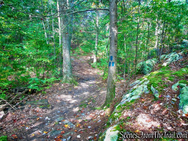Lime Kiln Trail - Giant’s Ledges Pocket Park