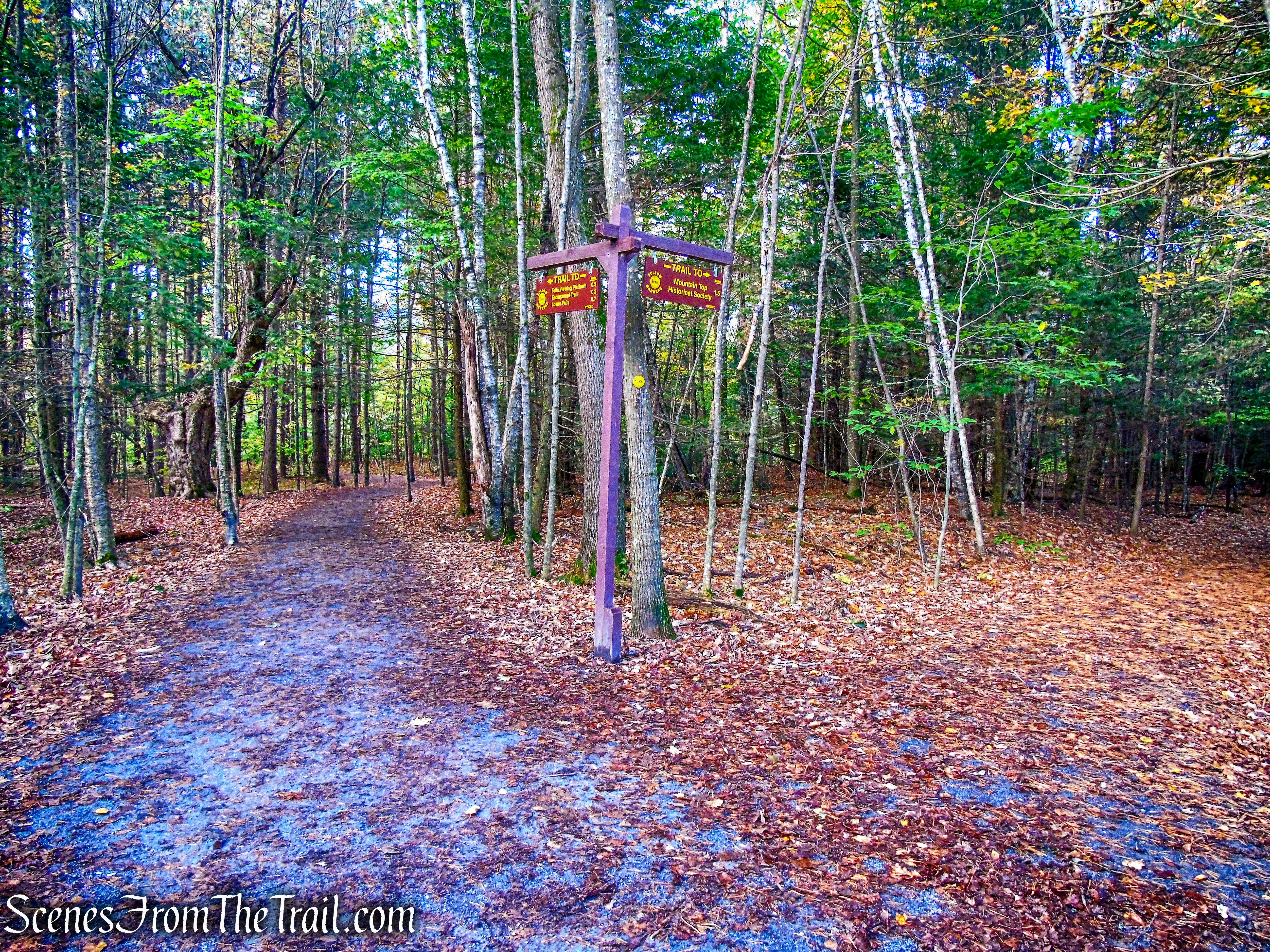 Kaaterskill Falls Trail