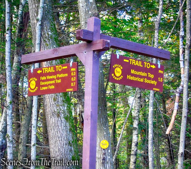 straight on Kaaterskill Falls Trail