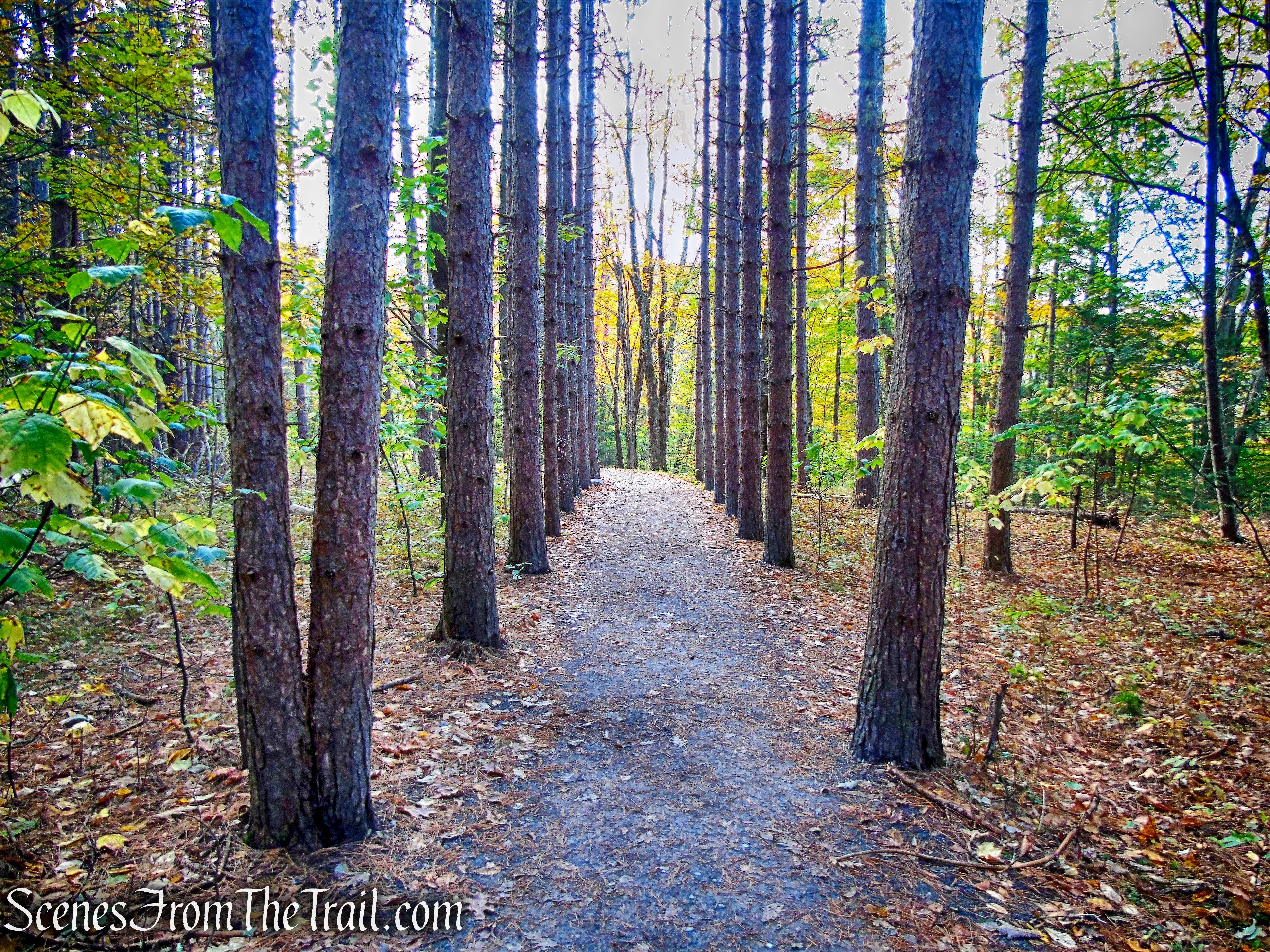 Kaaterskill Falls Trail