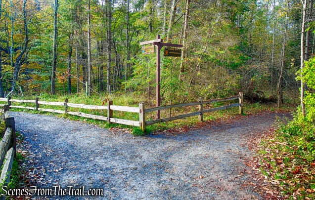 turn right on Kaaterskill Falls Trail