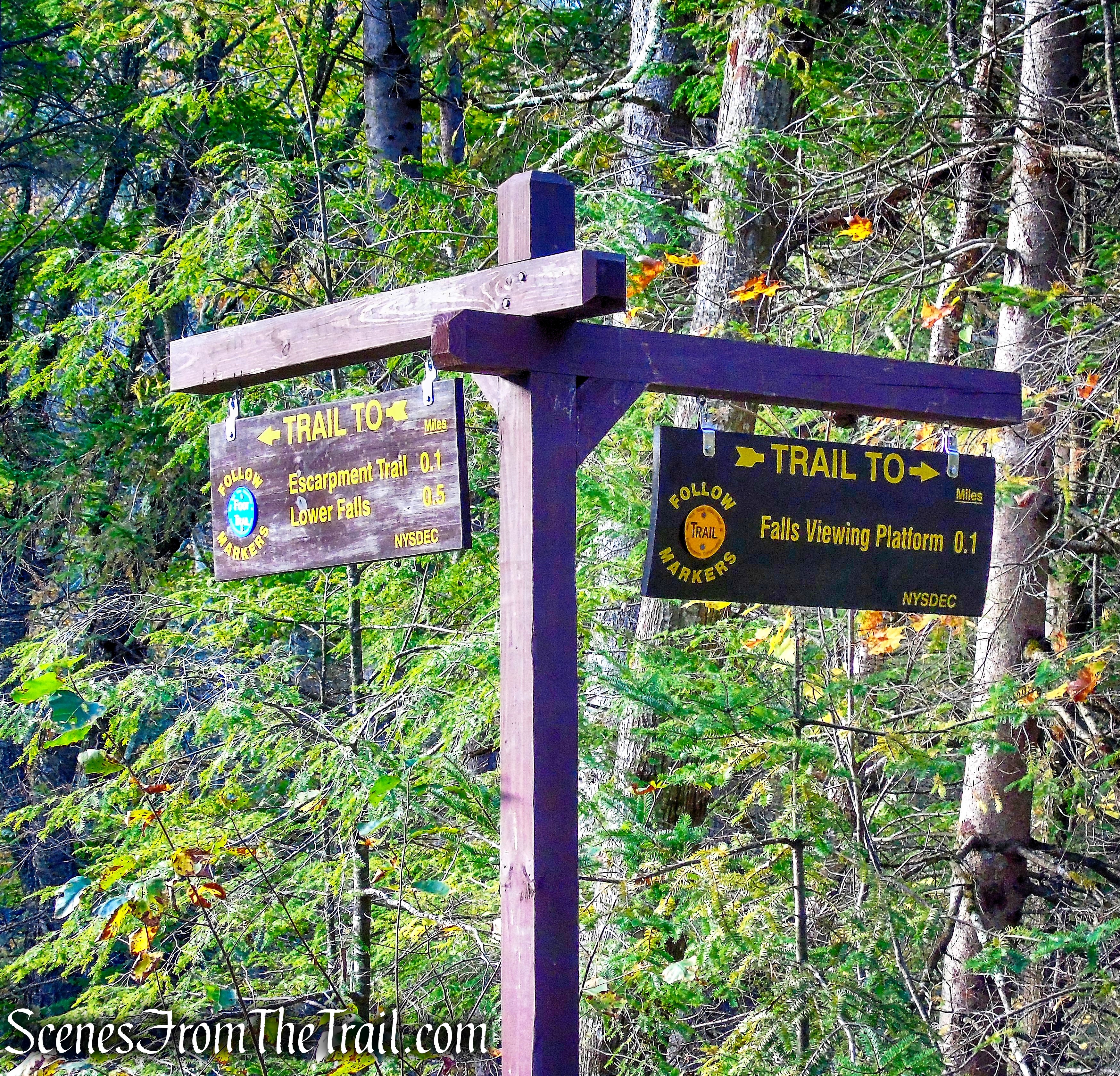 turn right on Kaaterskill Falls Trail