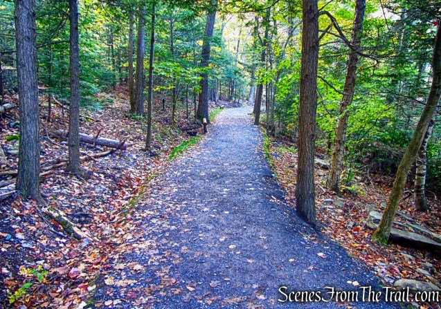 Kaaterskill Falls Trail