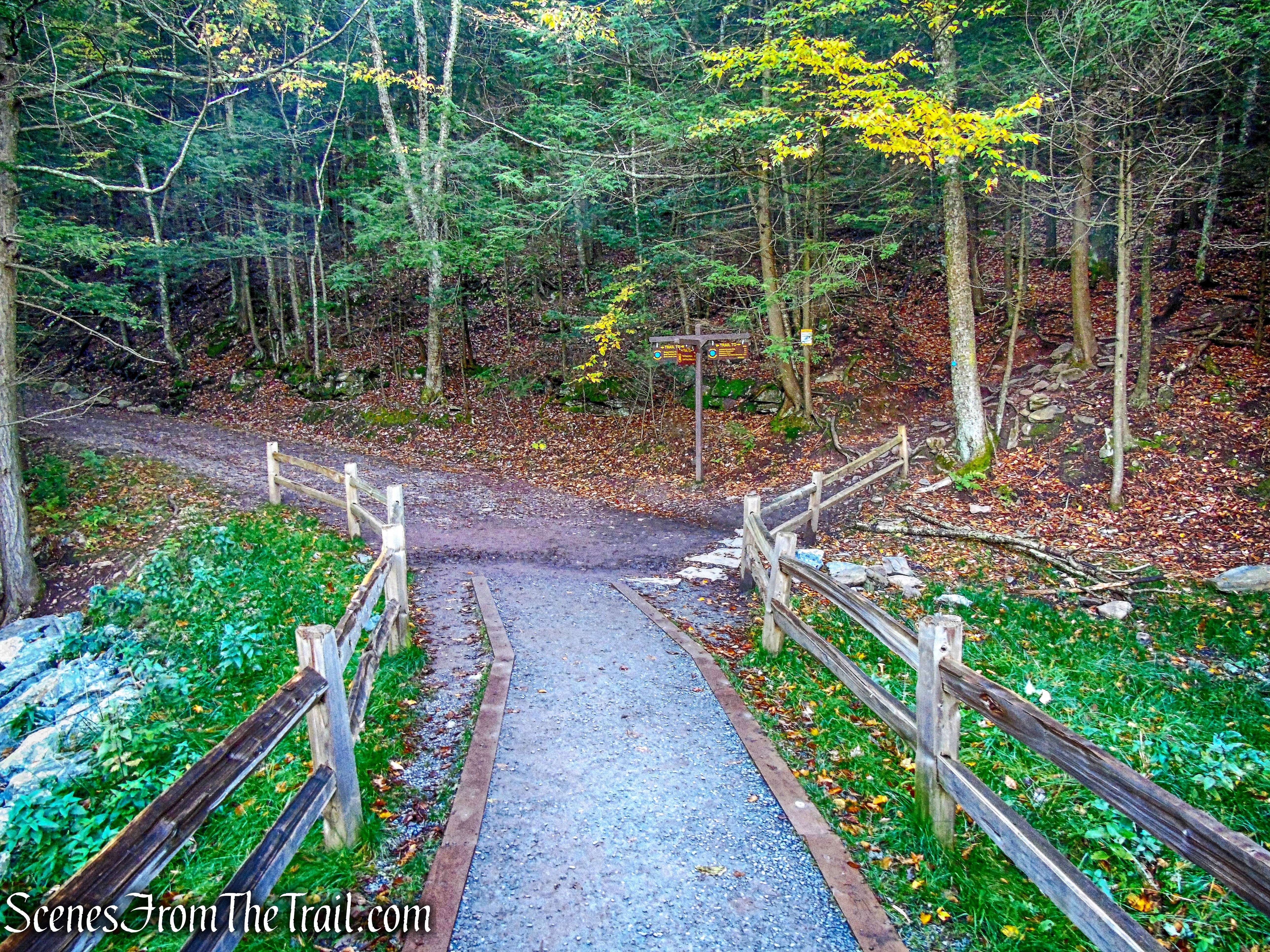 turn right onto the Escarpment Trail