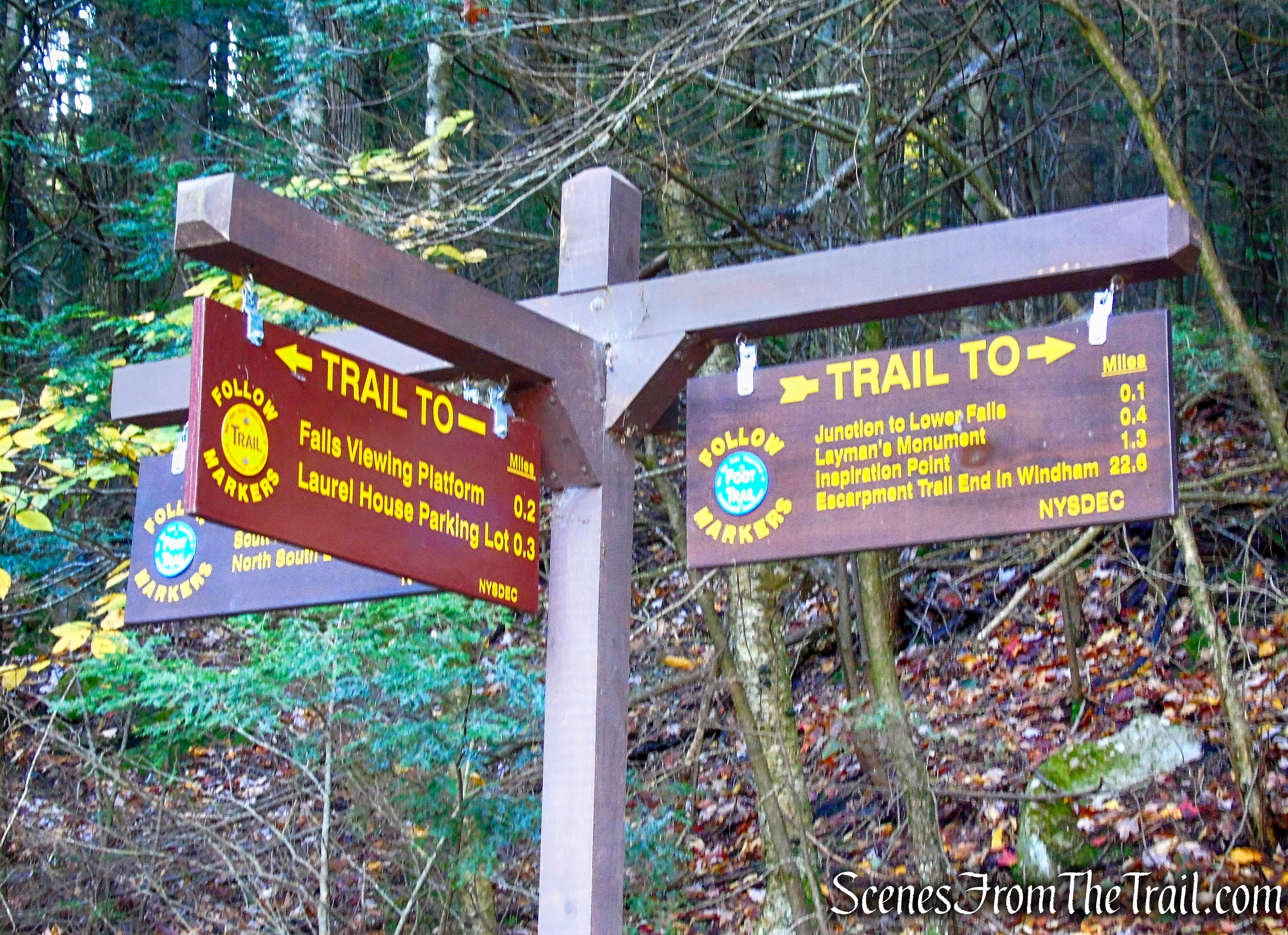 Escarpment Trail