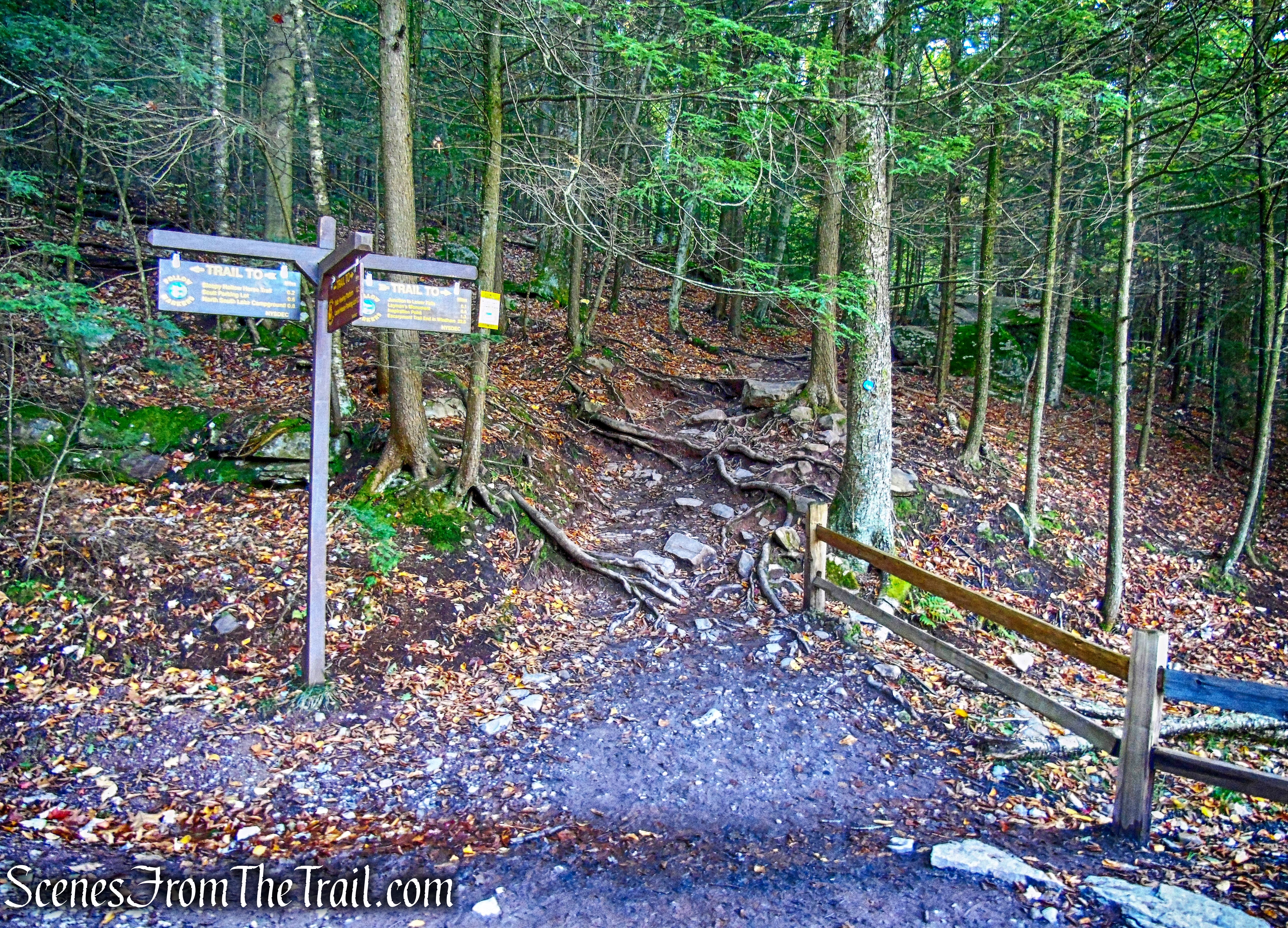 Escarpment Trail