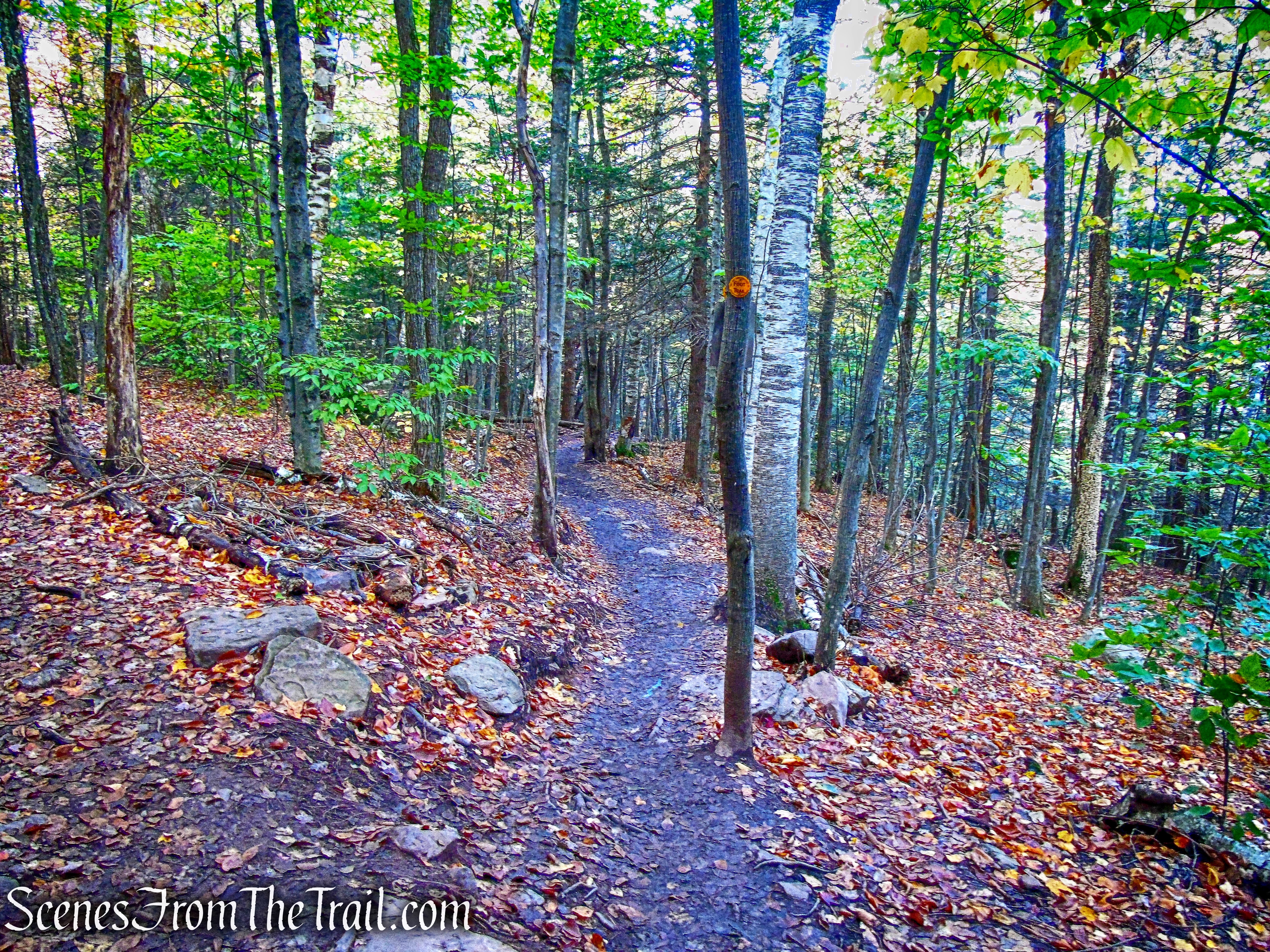Kaaterskill Falls Trail