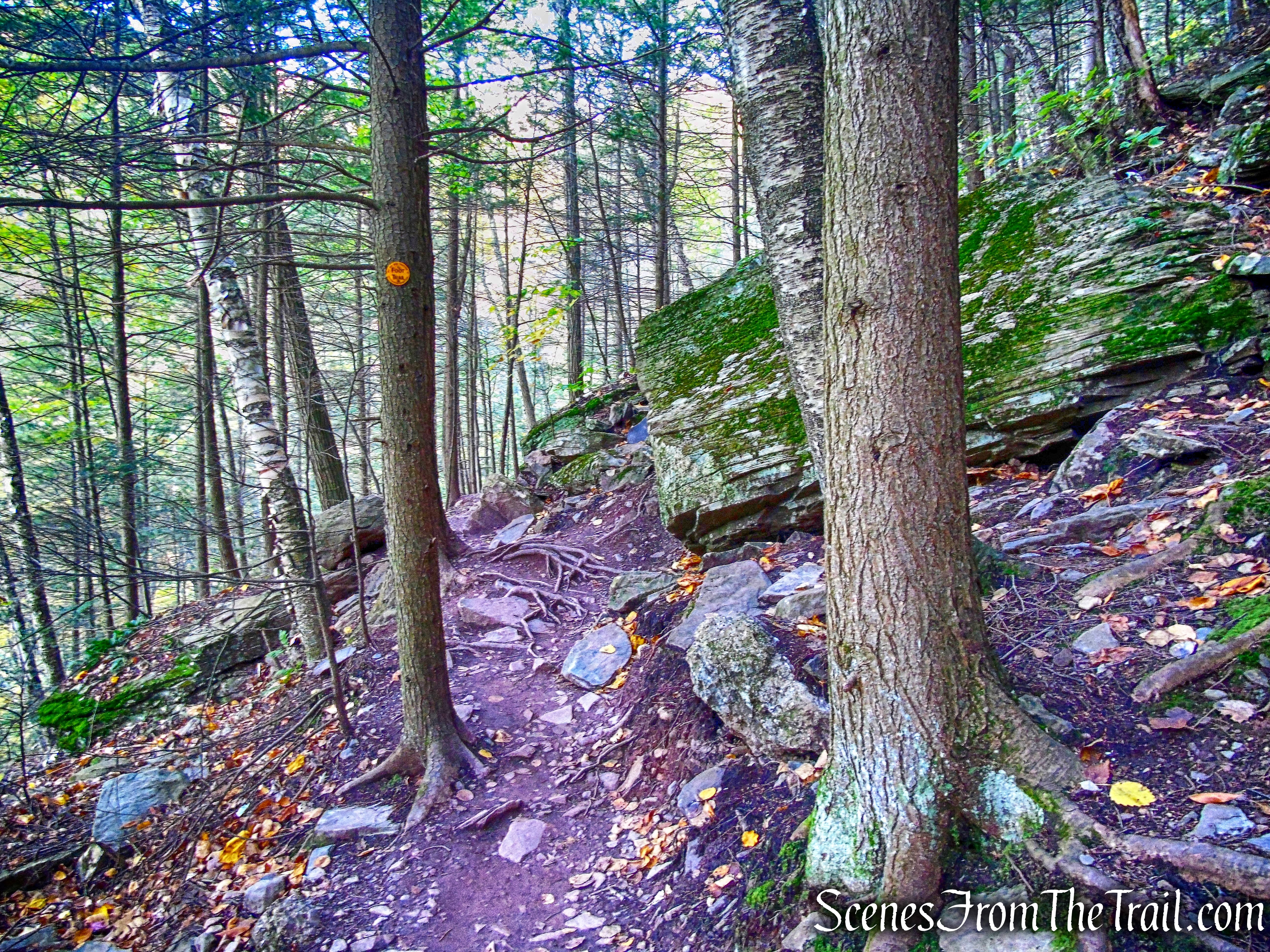Kaaterskill Falls Trail