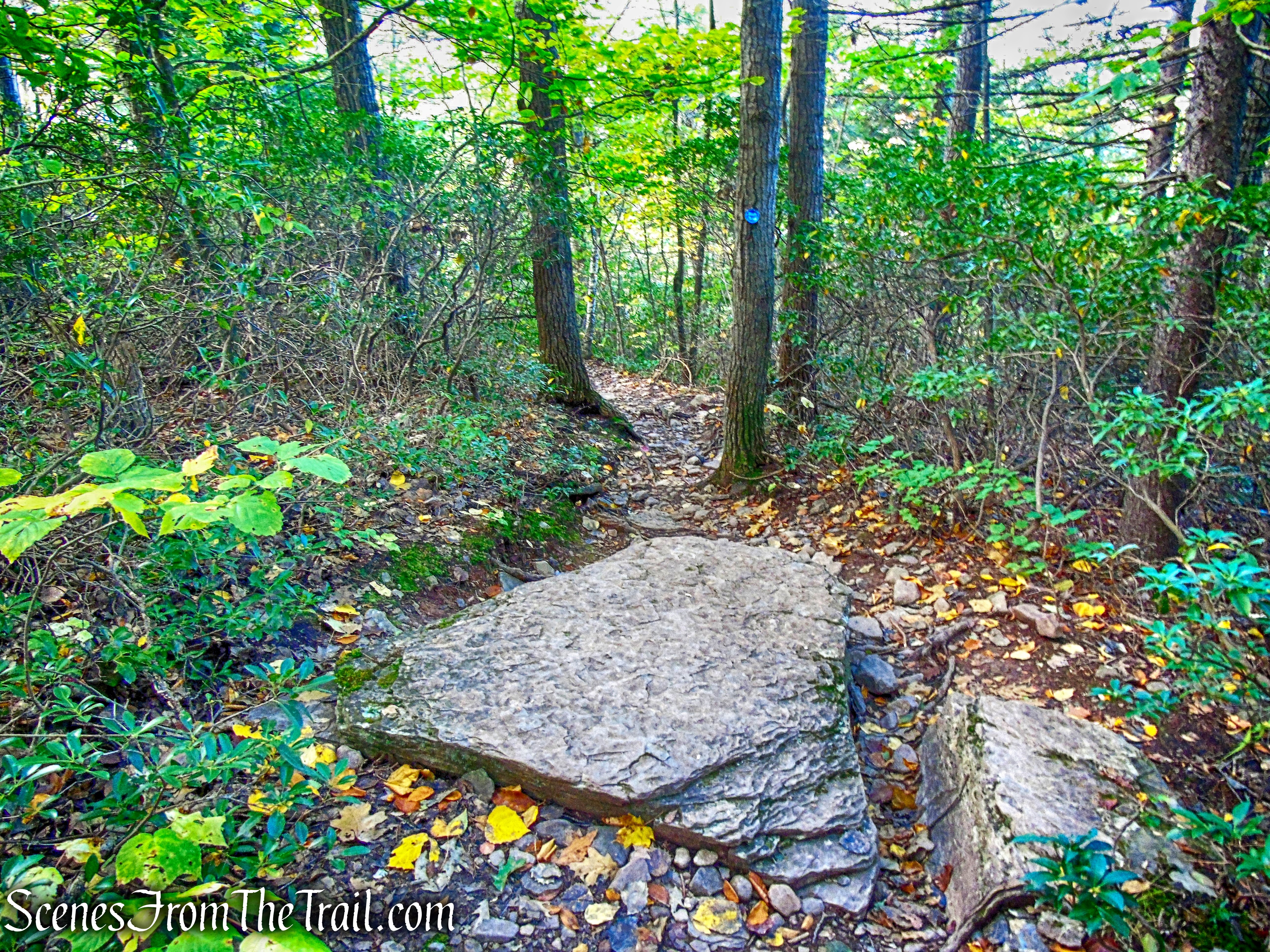 Escarpment Trail