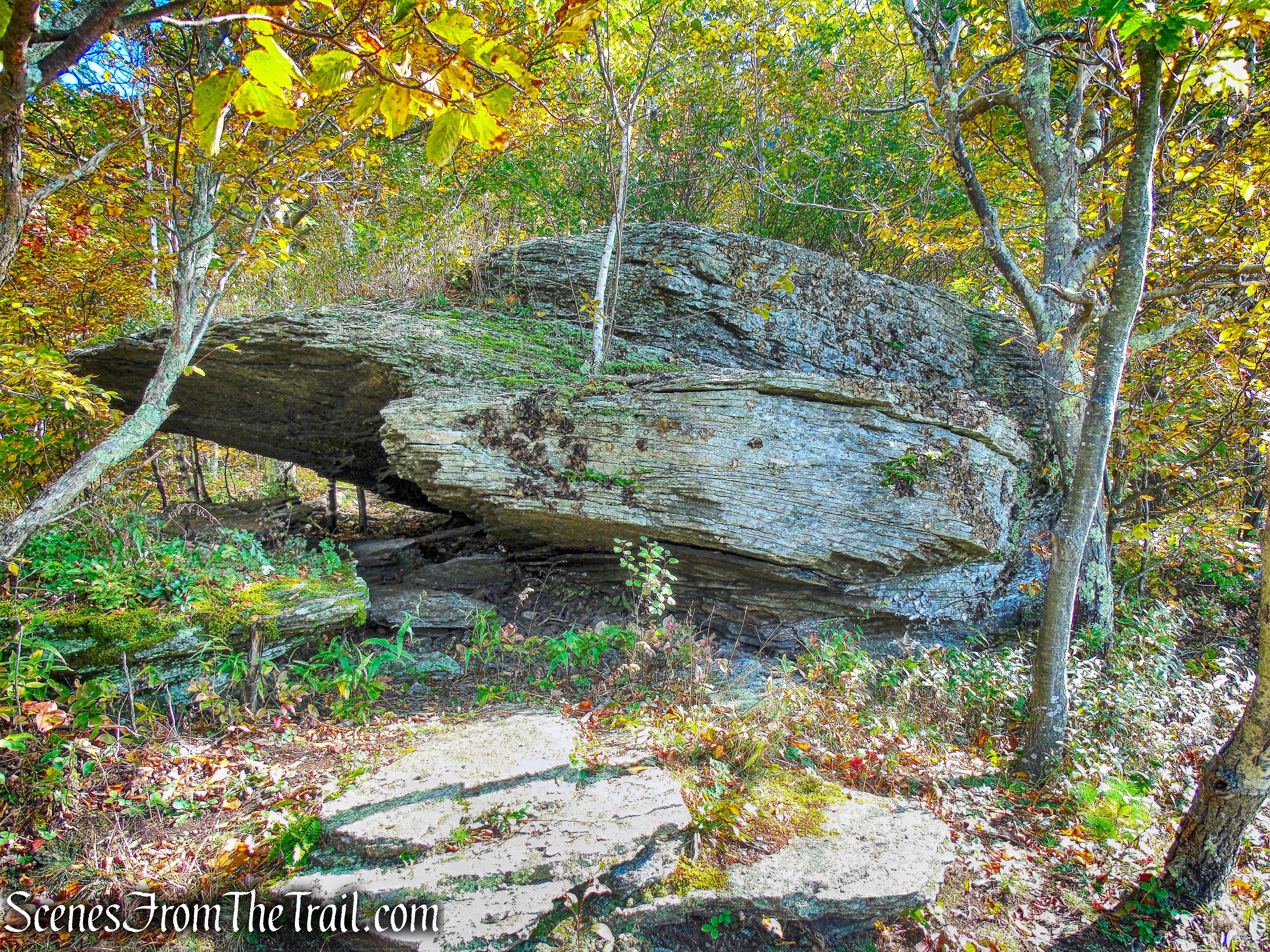 Escarpment Trail