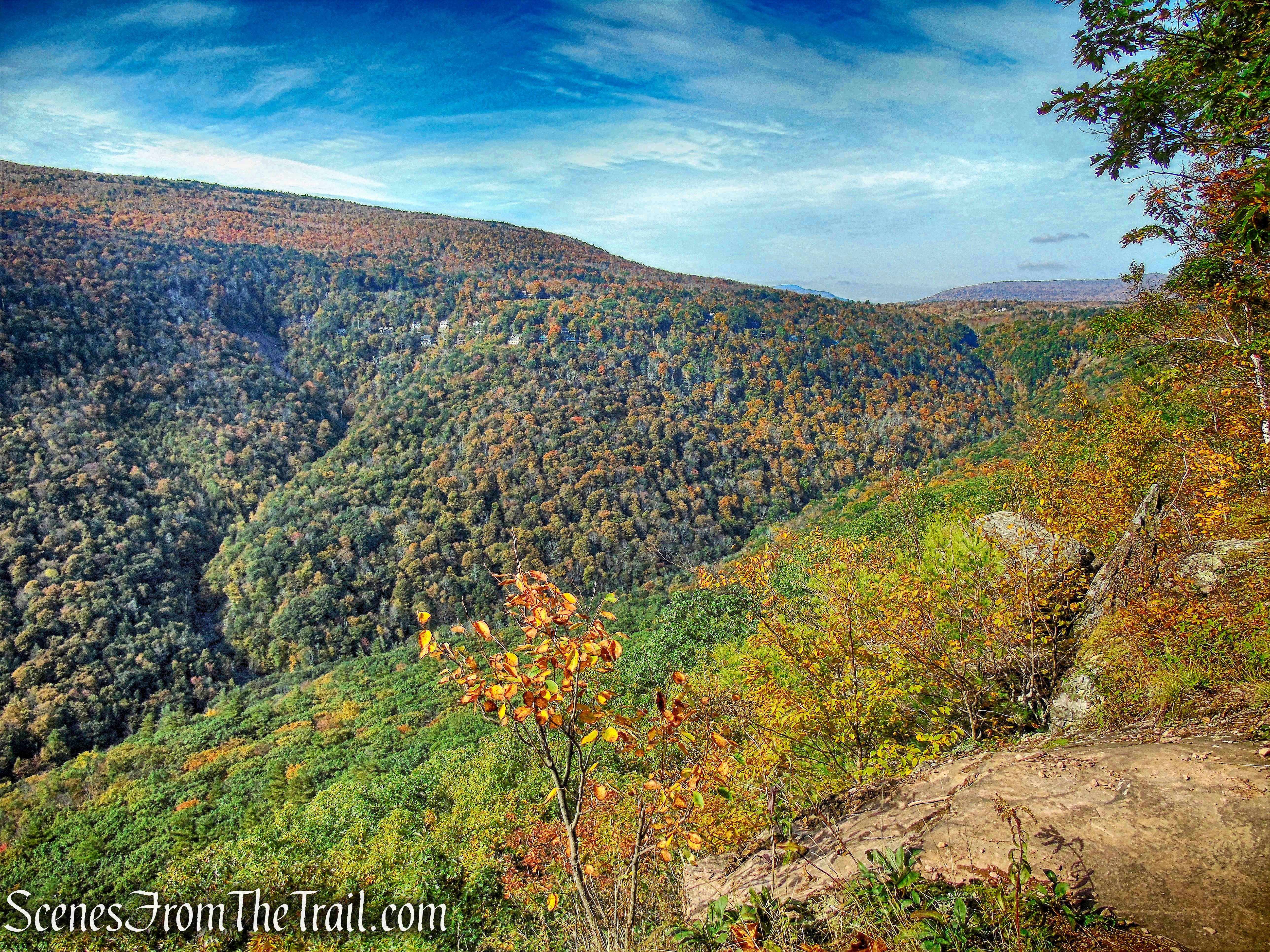 view from Escarpment Trail