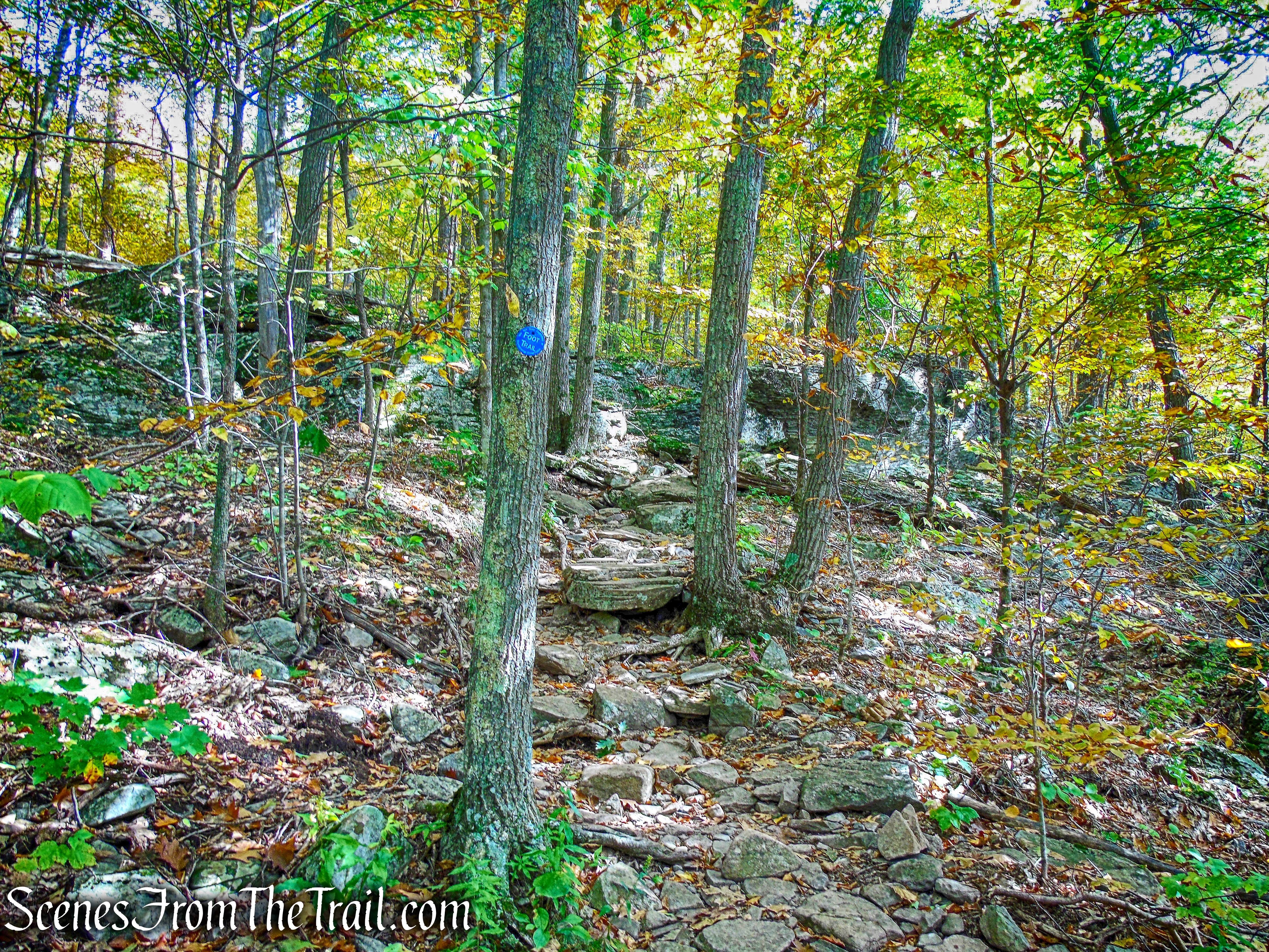 Escarpment Trail