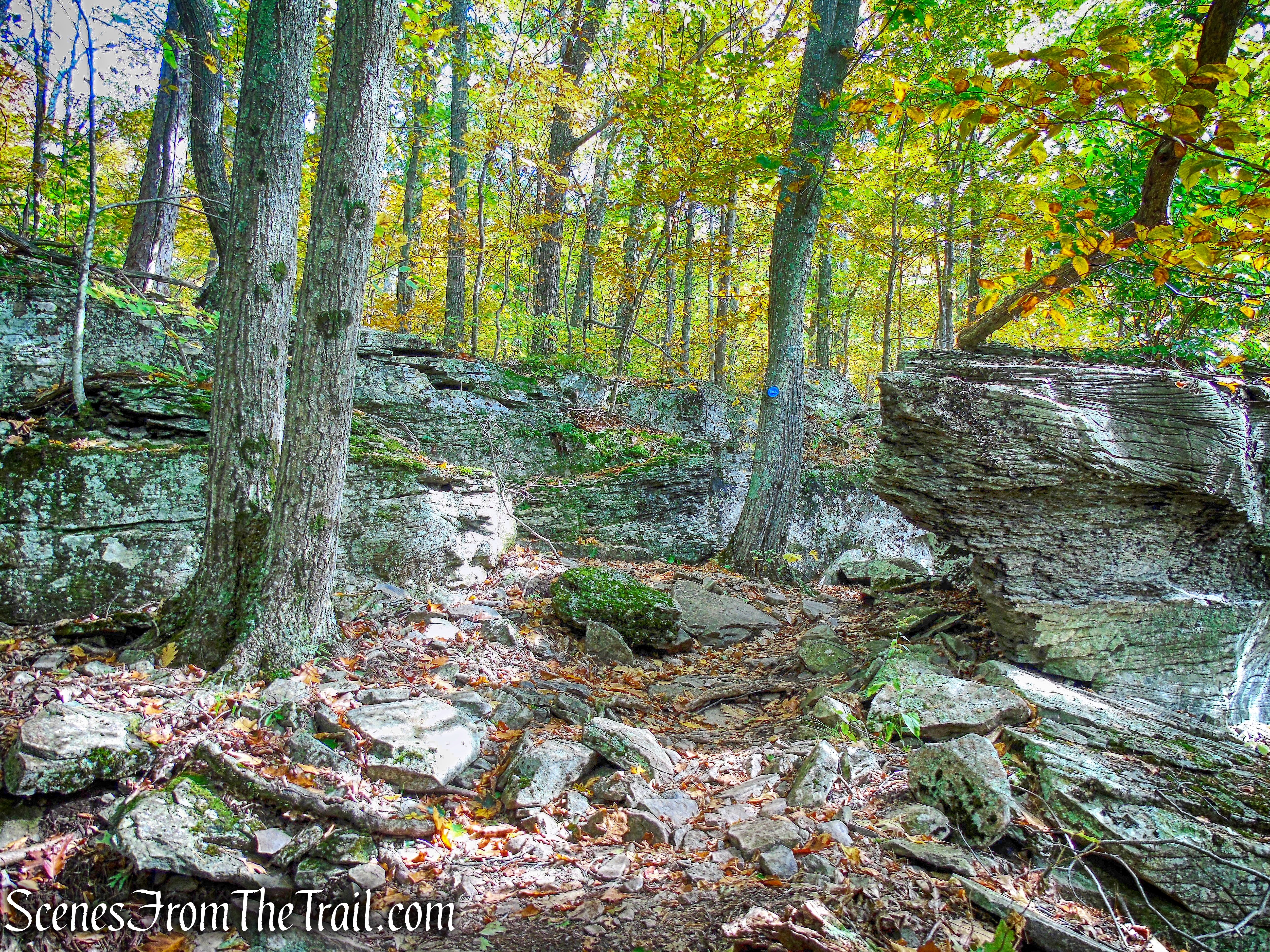 Escarpment Trail