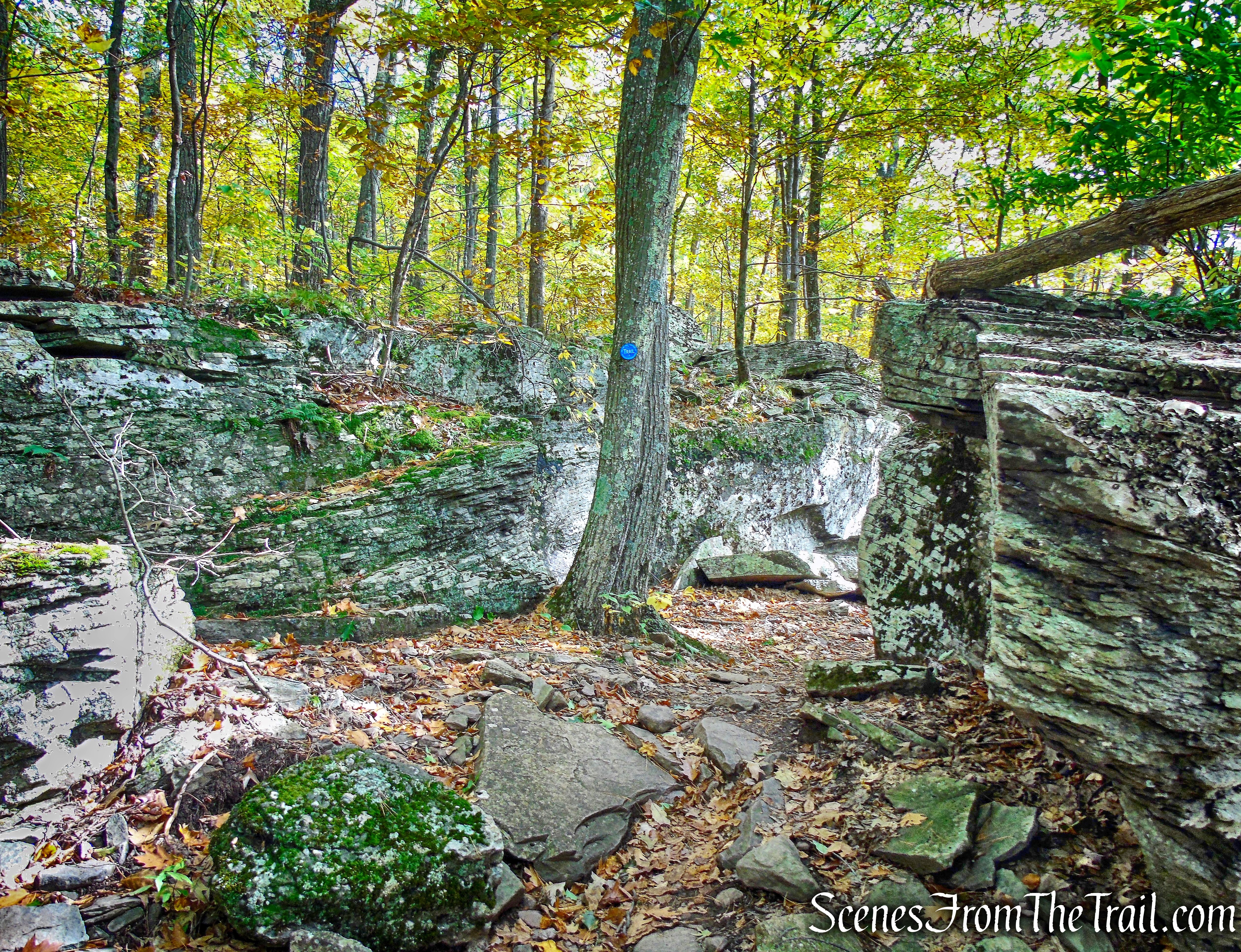 Escarpment Trail