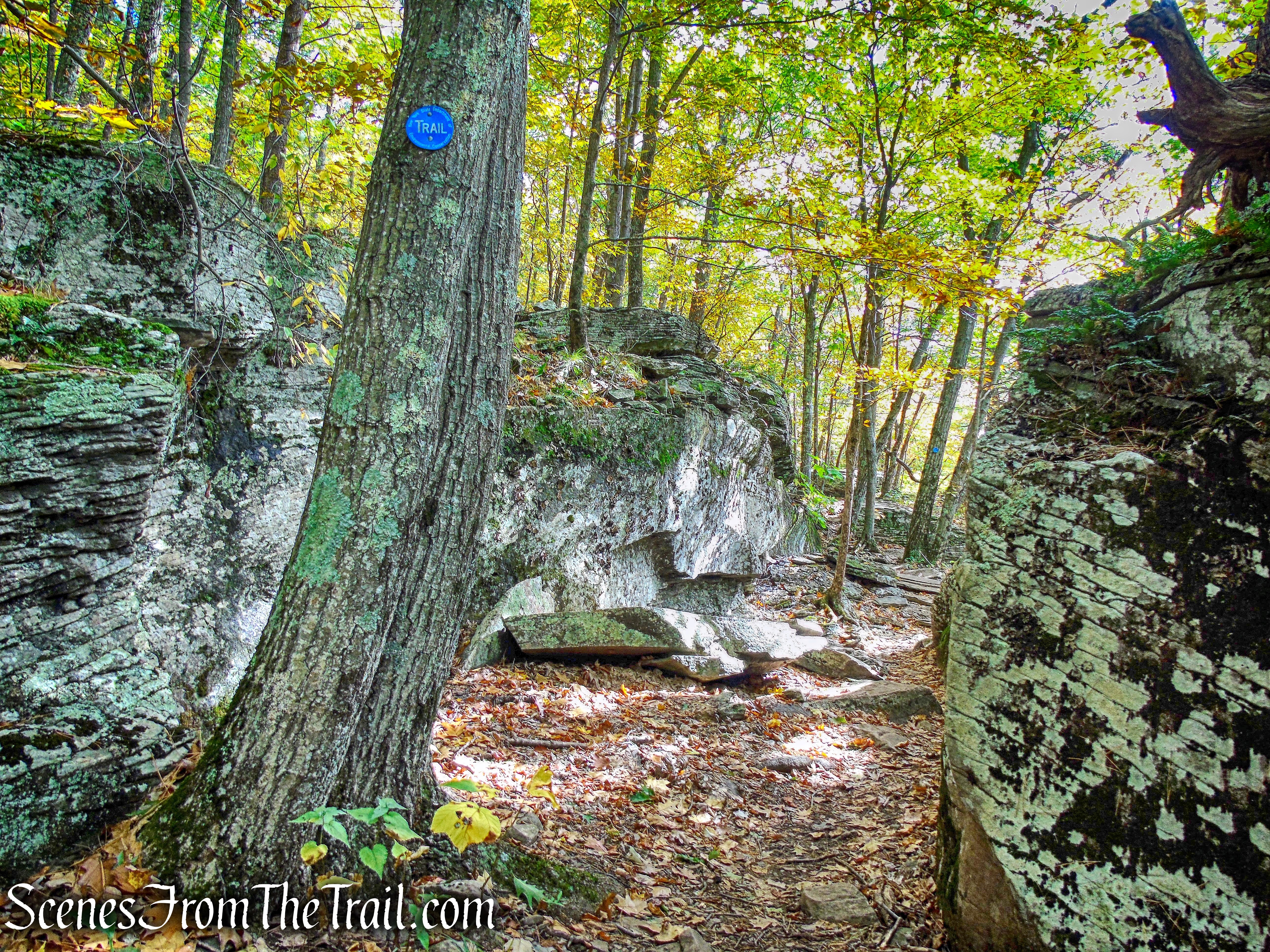Escarpment Trail